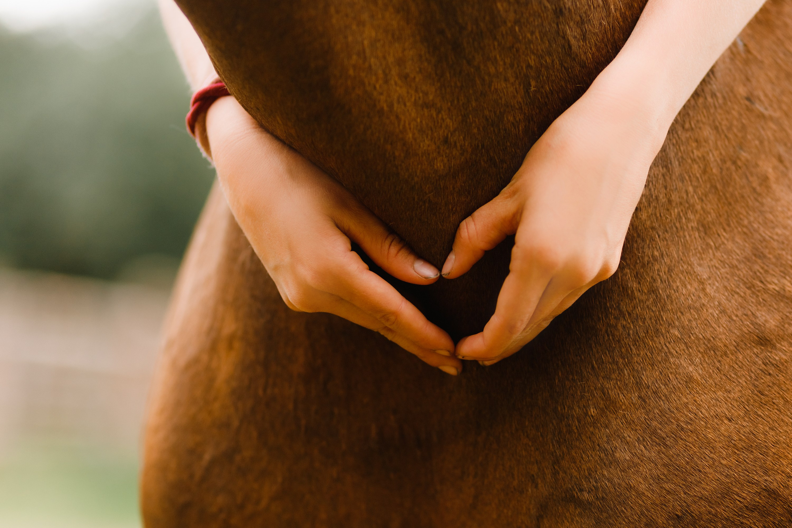 Girls & horses, summer. Kaja | fotograf psów we Wrocławiu