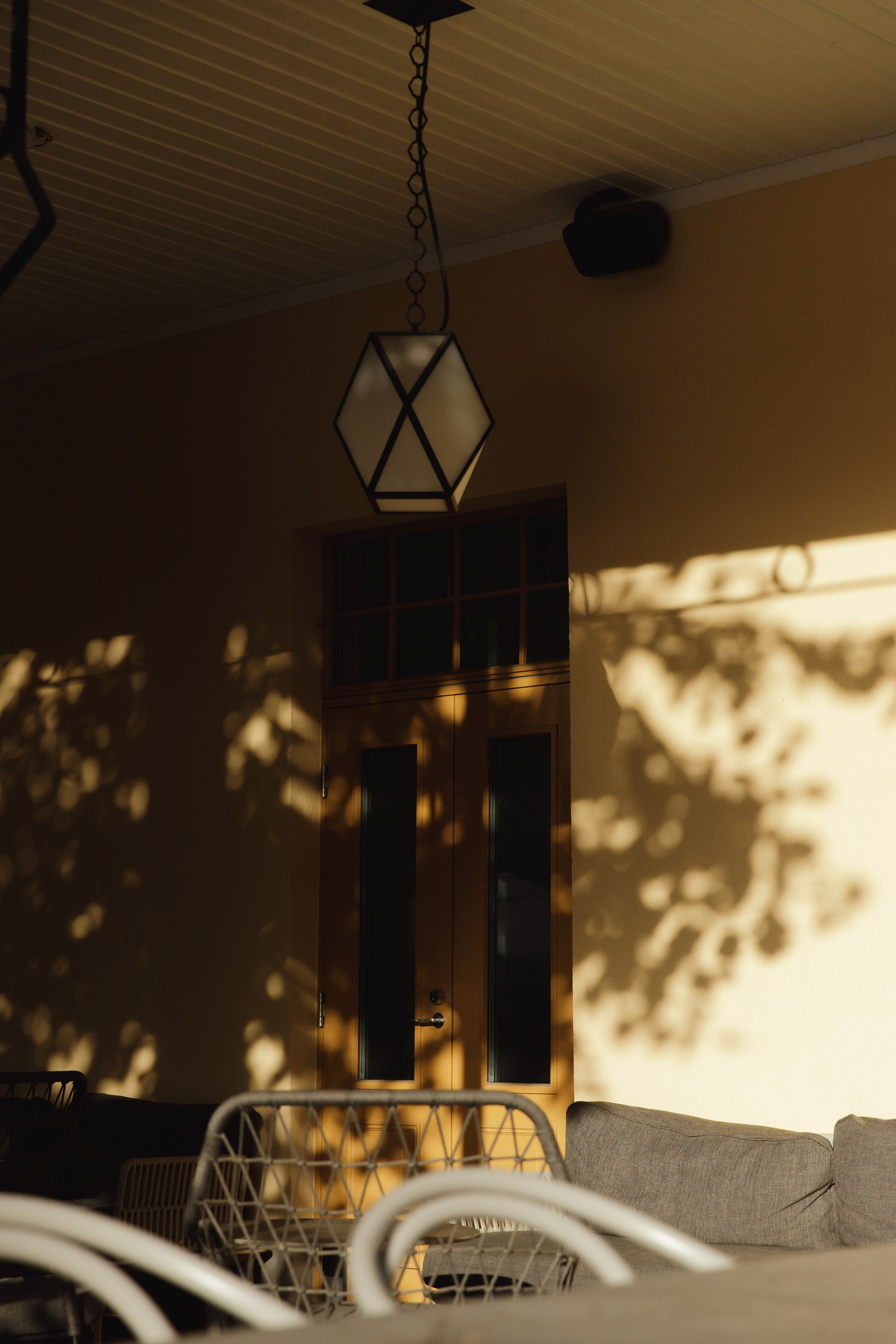 Turku. Kaja | fotograf psów we Wrocławiu