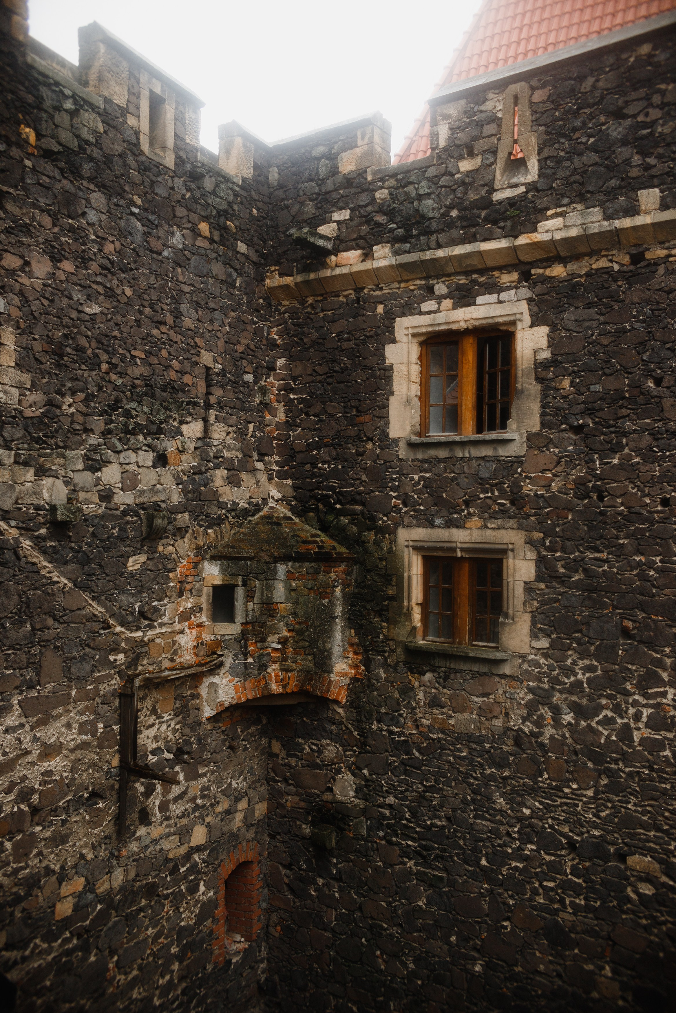 Zamek Grodziec. Kaja | fotograf psów we Wrocławiu