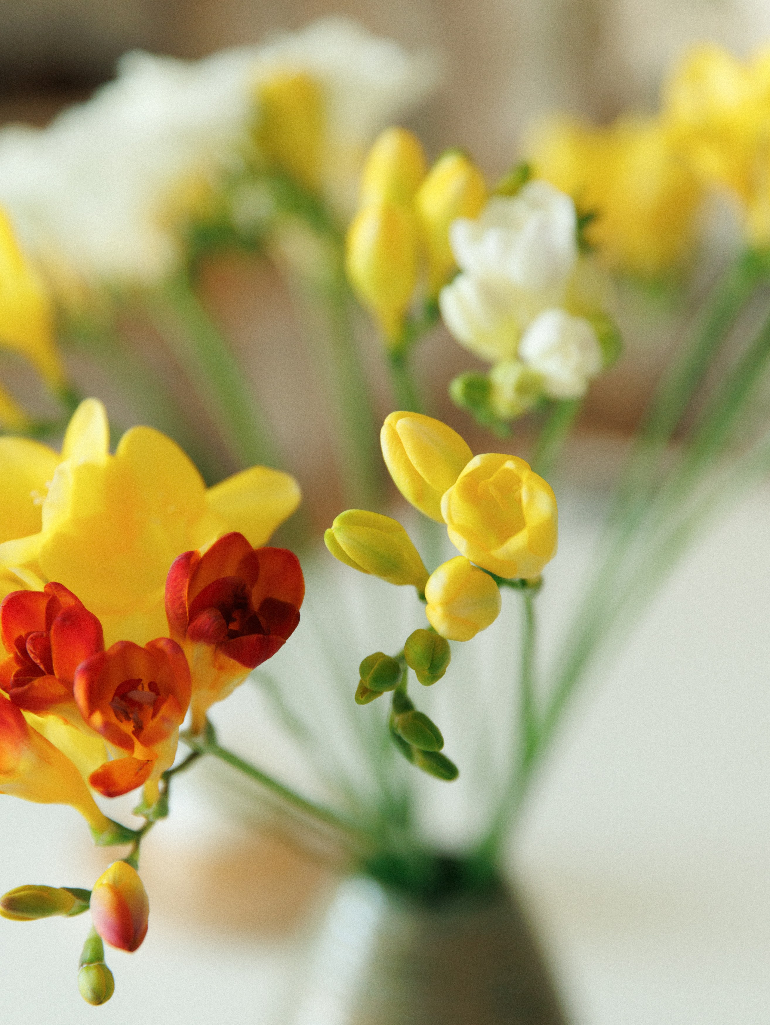 Koło ceramics. Kaja | fotograf we Wrocławiu | ludzie i psy