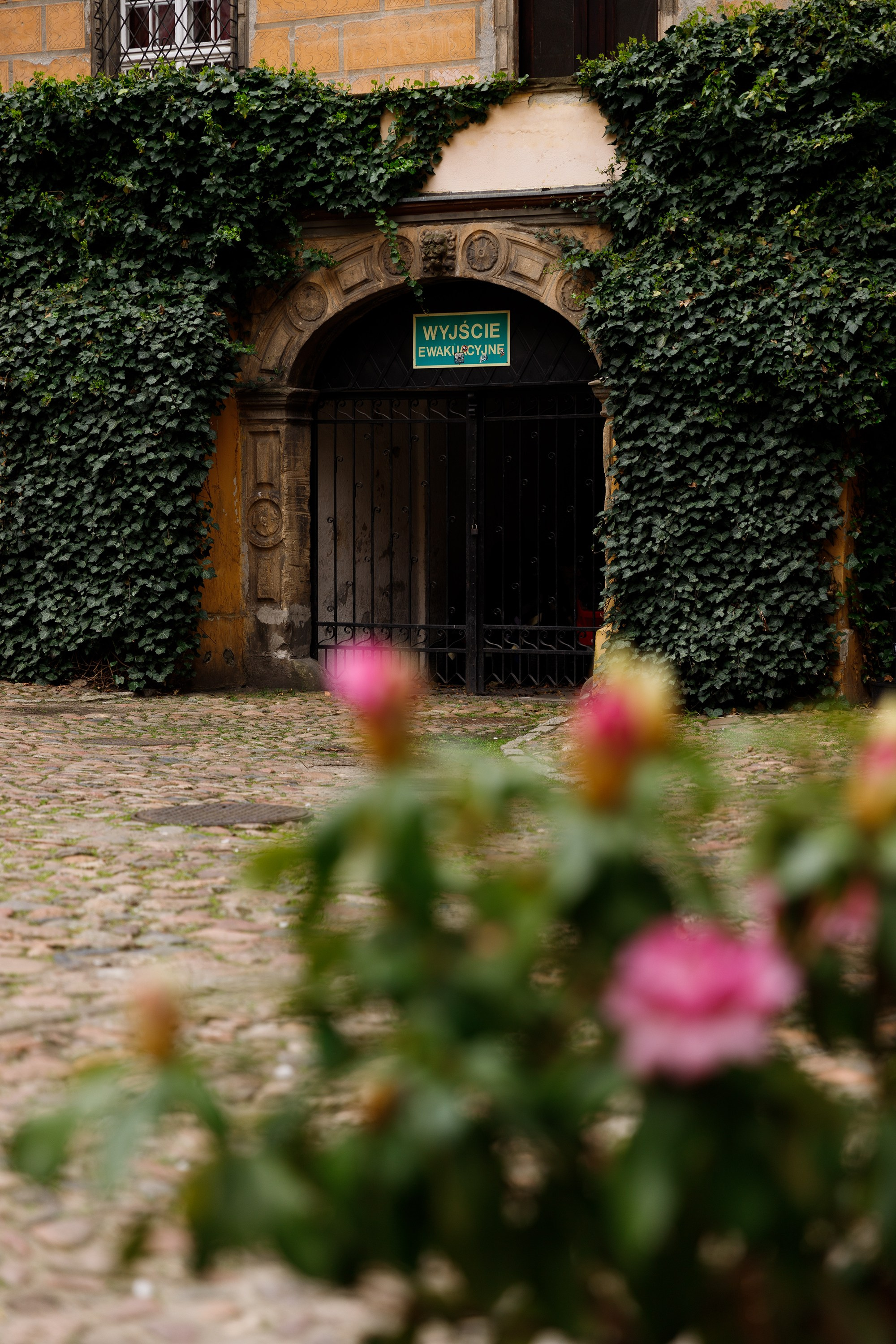 Oleśnica castle. Kaja | fotograf psów we Wrocławiu