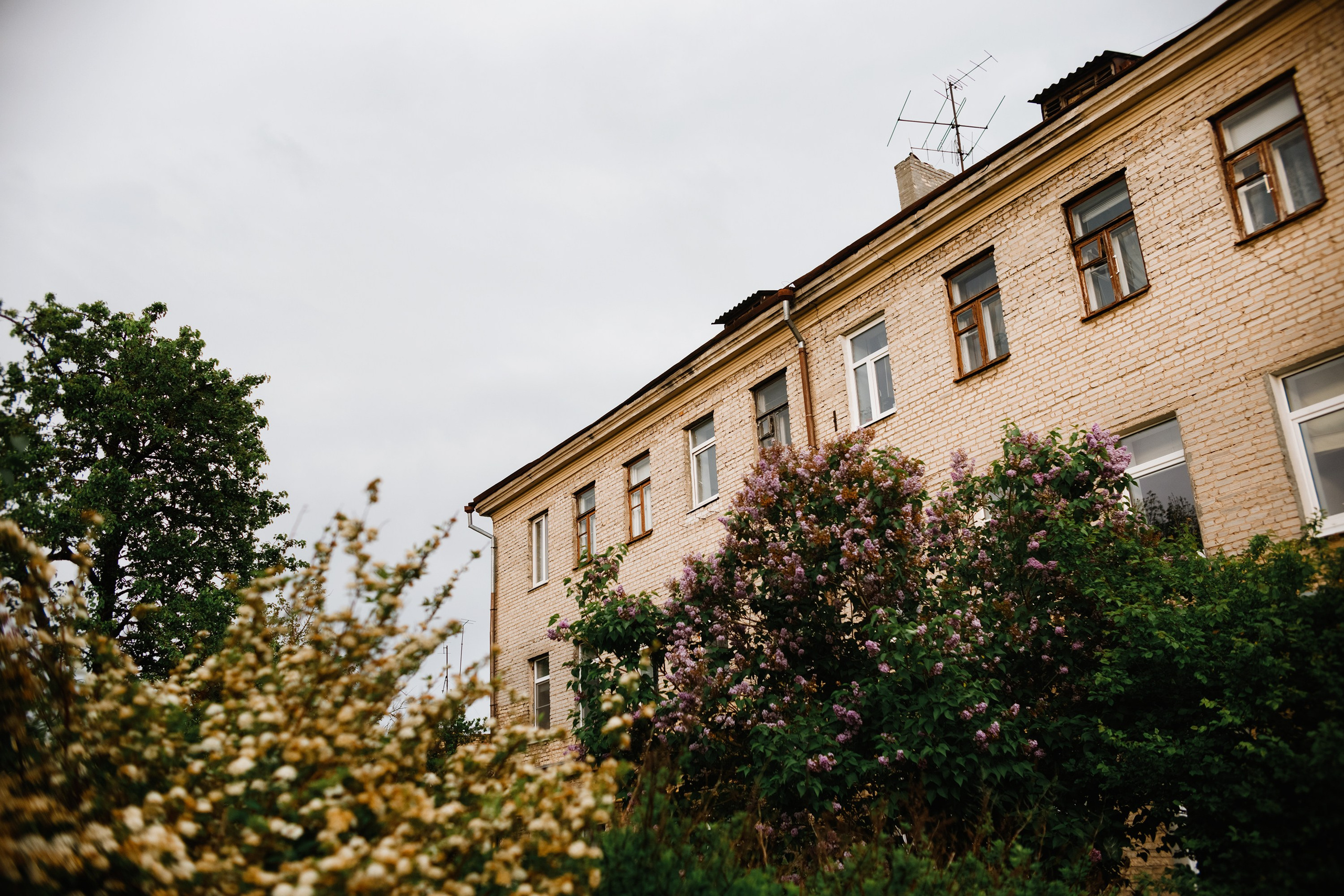 Grodno. Kaja | fotograf we Wrocławiu | ludzie i psy