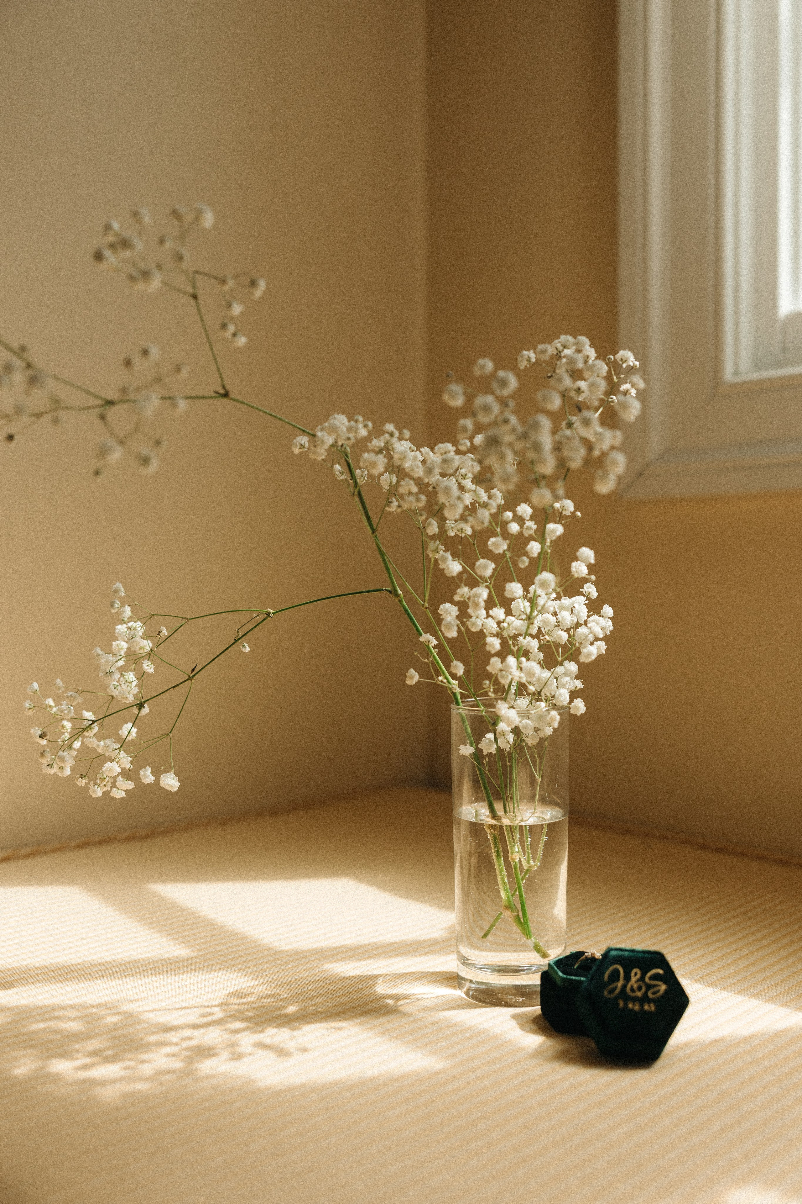 Sara Eulalia | Virginia Photographer