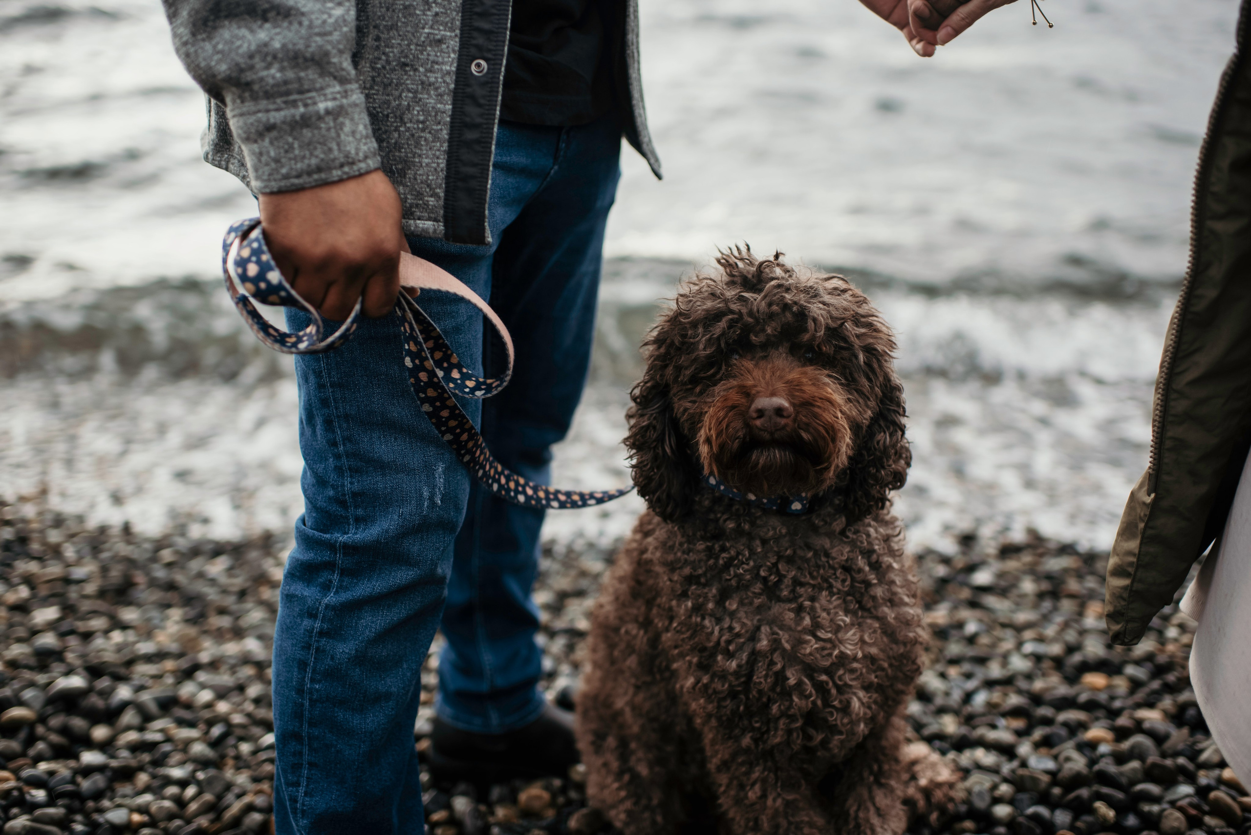 This happy day. Newborn, pregnancy, family photographer in New Jersey