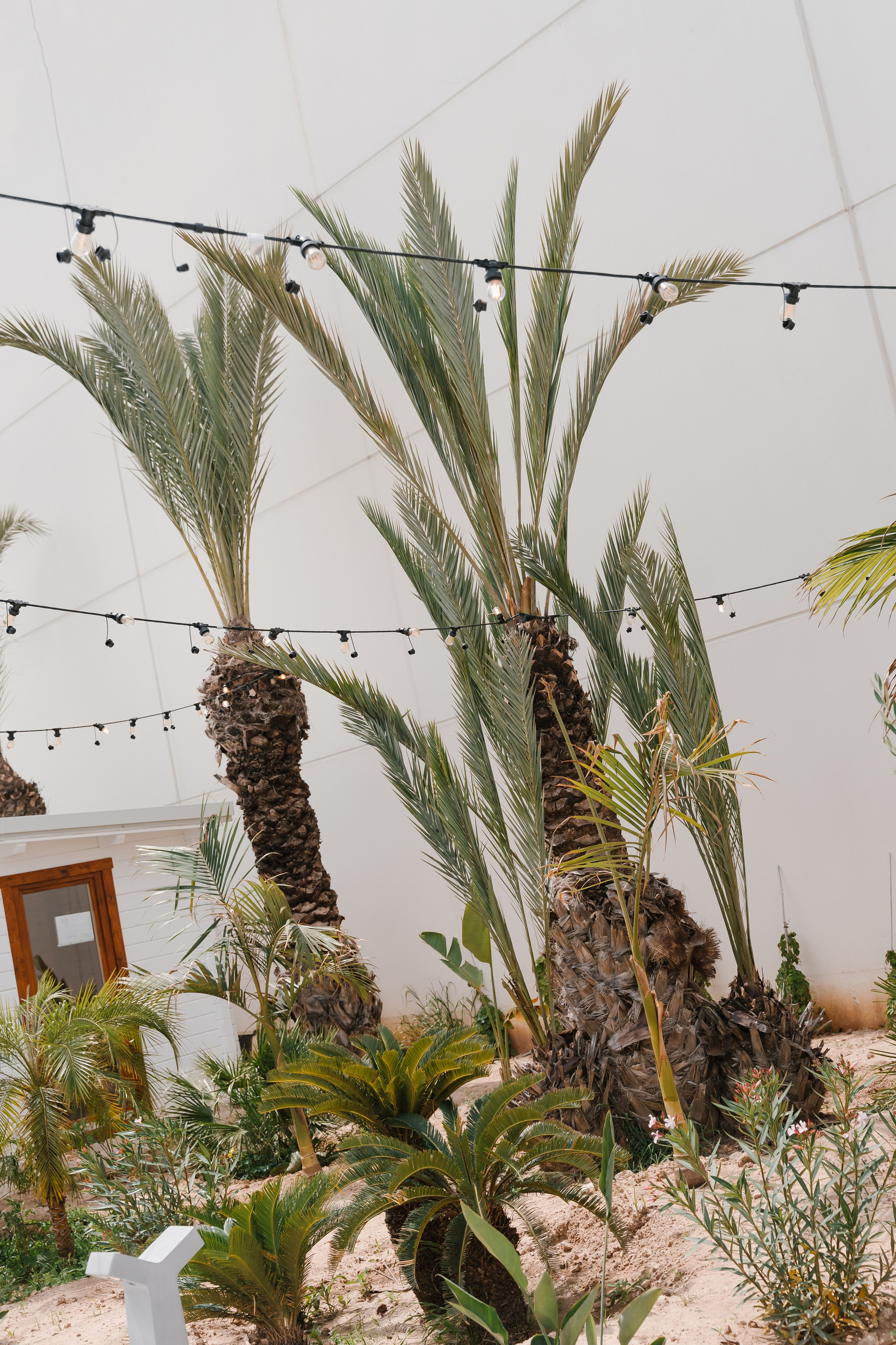 A&L. Fotógrafa de bodas y familias en España, Valencia: Nadia ProFoto