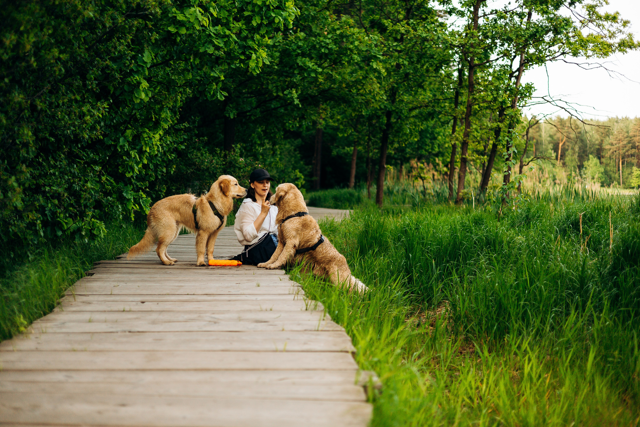 Настя, Арчи, Арагон. Фотограф-анималист | Белград