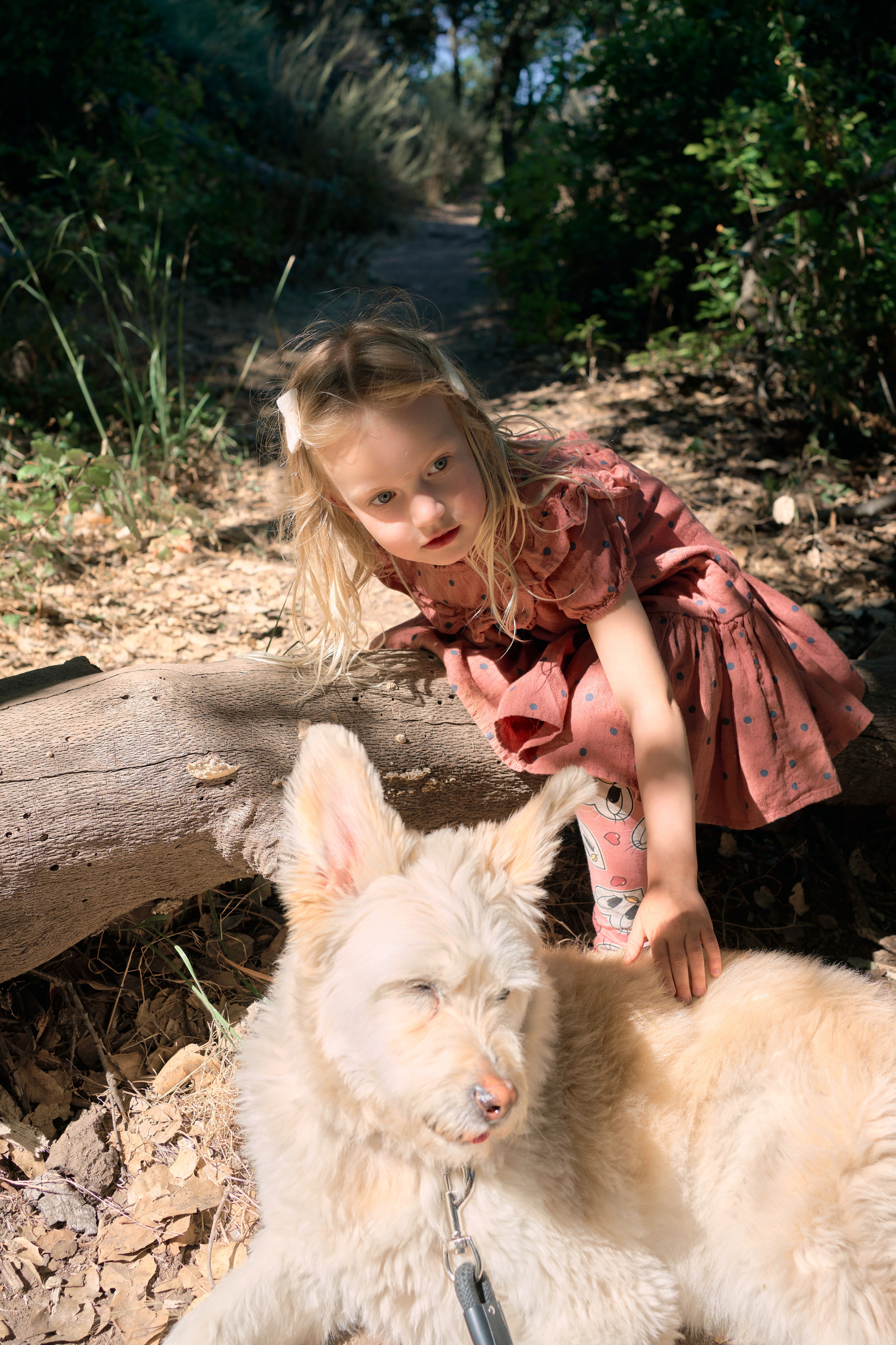 In the woods. Brand photography, Personal, Family Marina Zorina