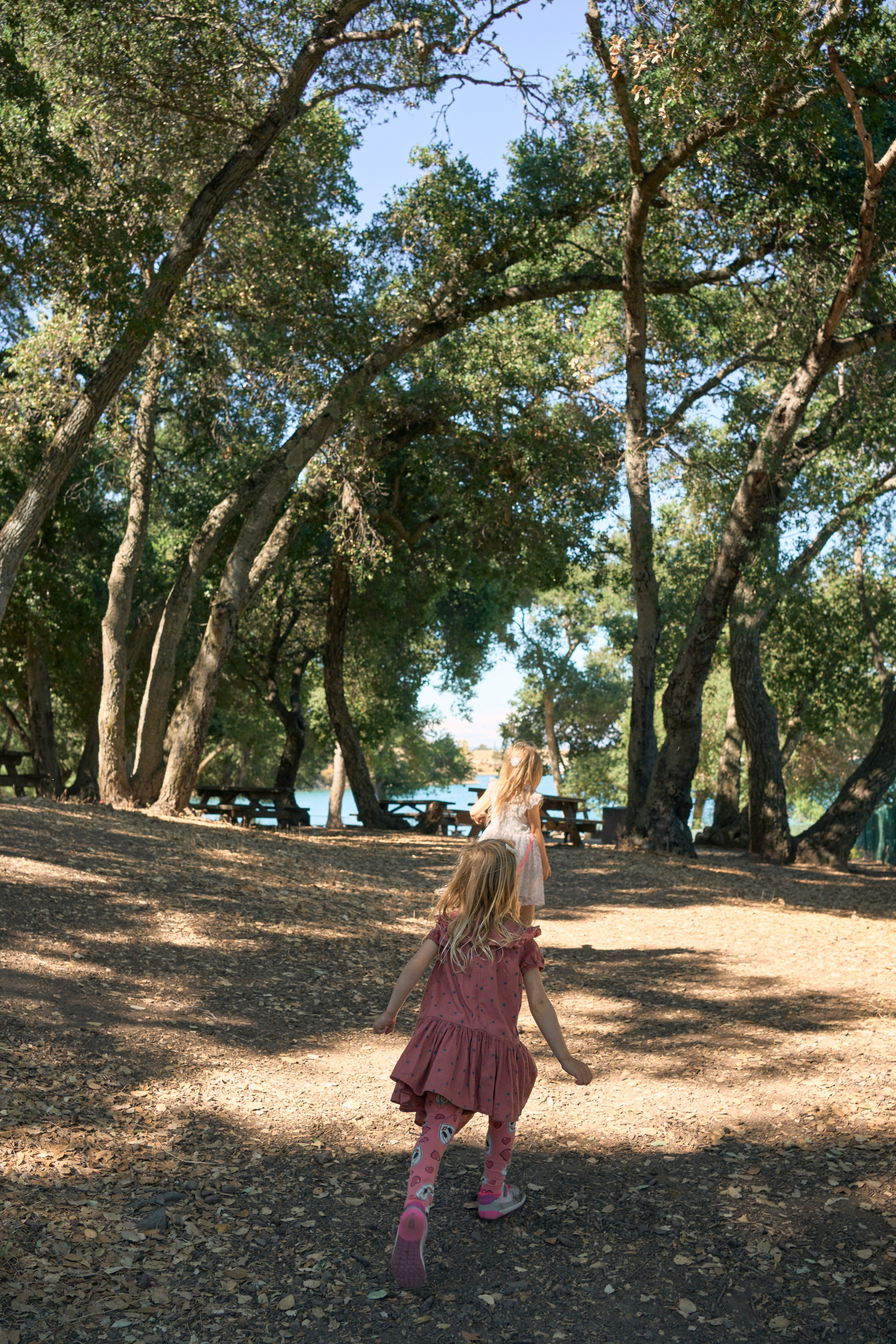 In the woods. Brand photography, Personal, Family Marina Zorina