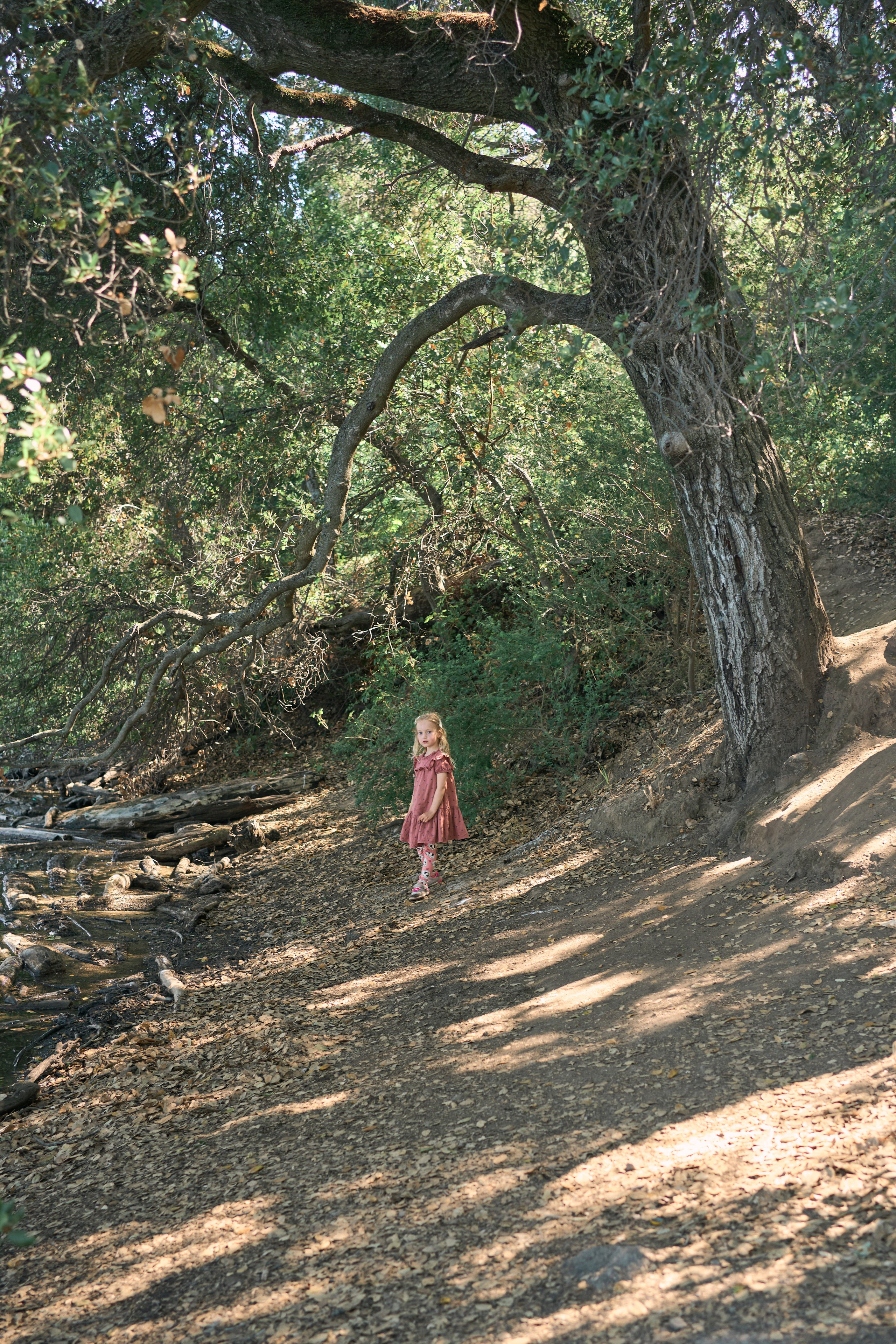 In the woods. Brand photography, Personal, Family Marina Zorina
