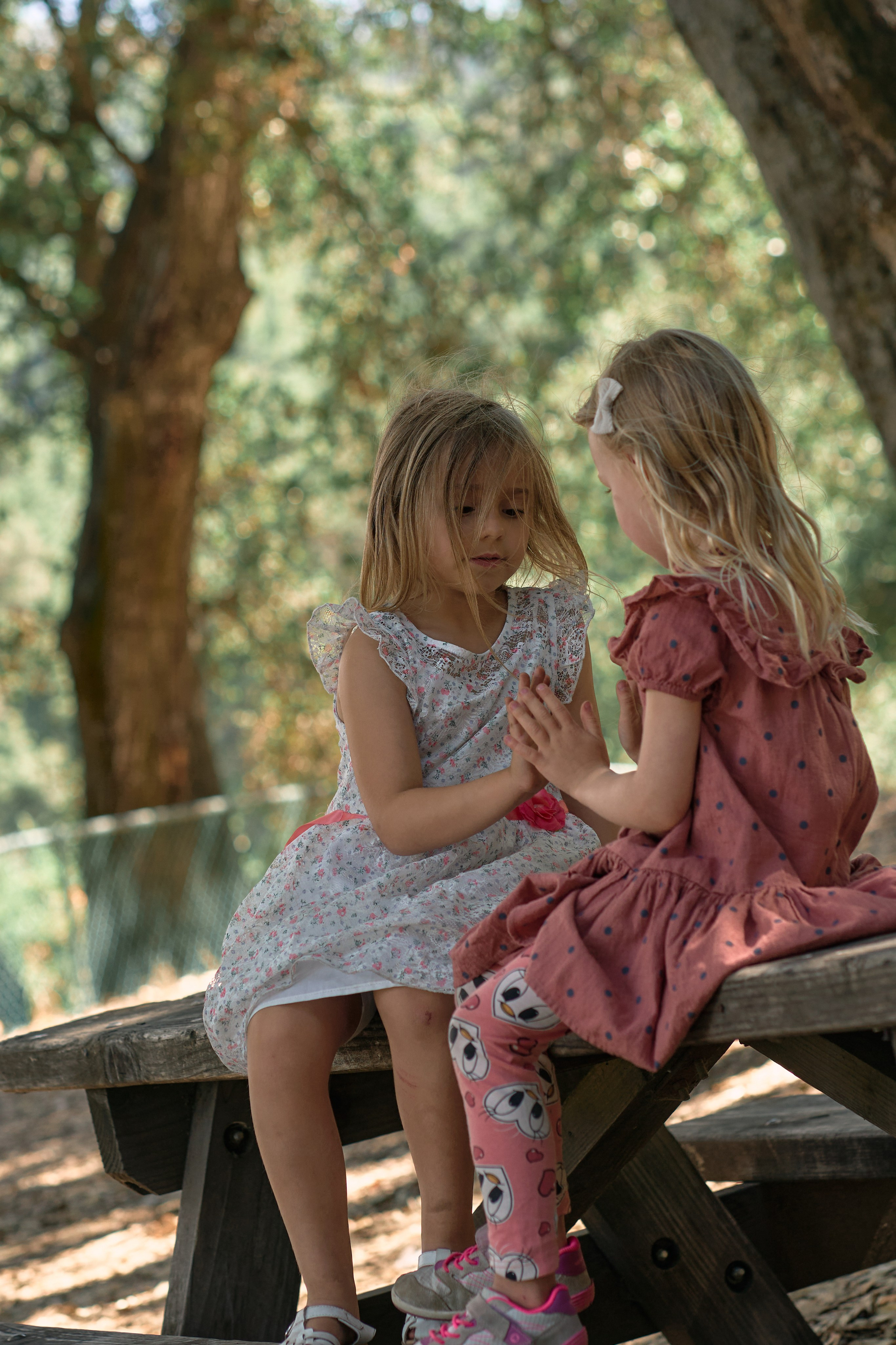 In the woods. Brand photography, Personal, Family Marina Zorina