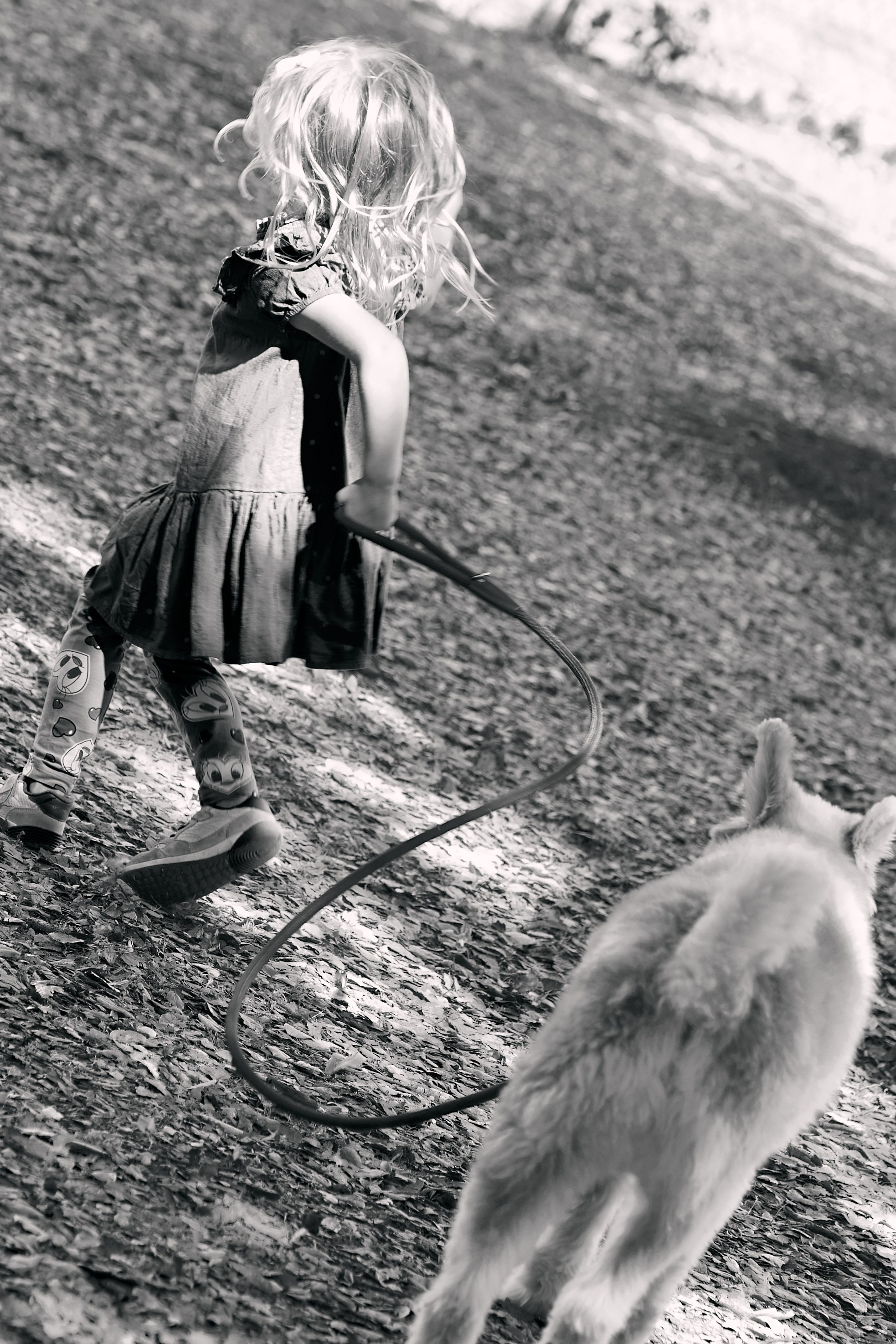 In the woods. Brand photography, Personal, Family Marina Zorina