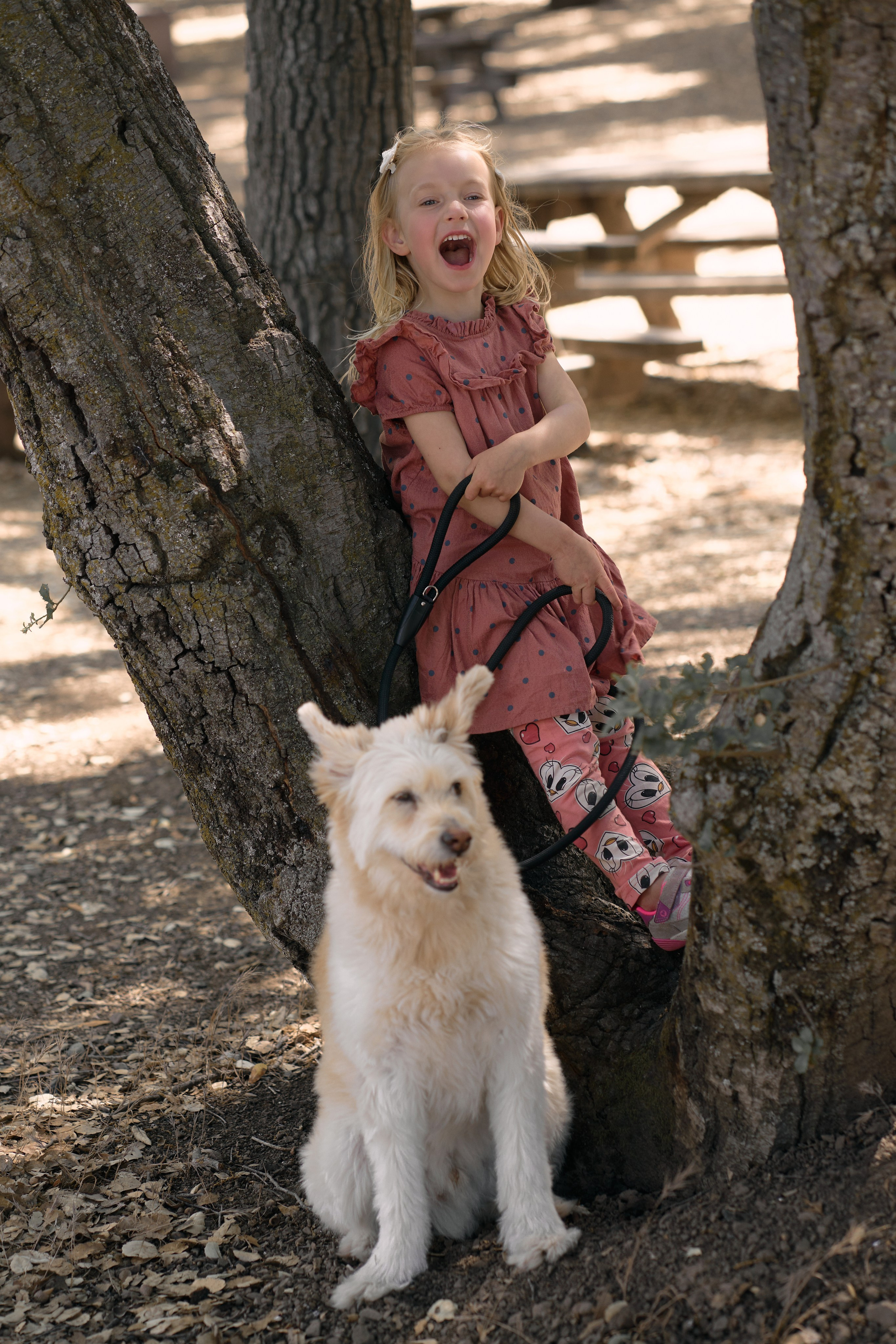 In the woods. Brand photography, Personal, Family Marina Zorina