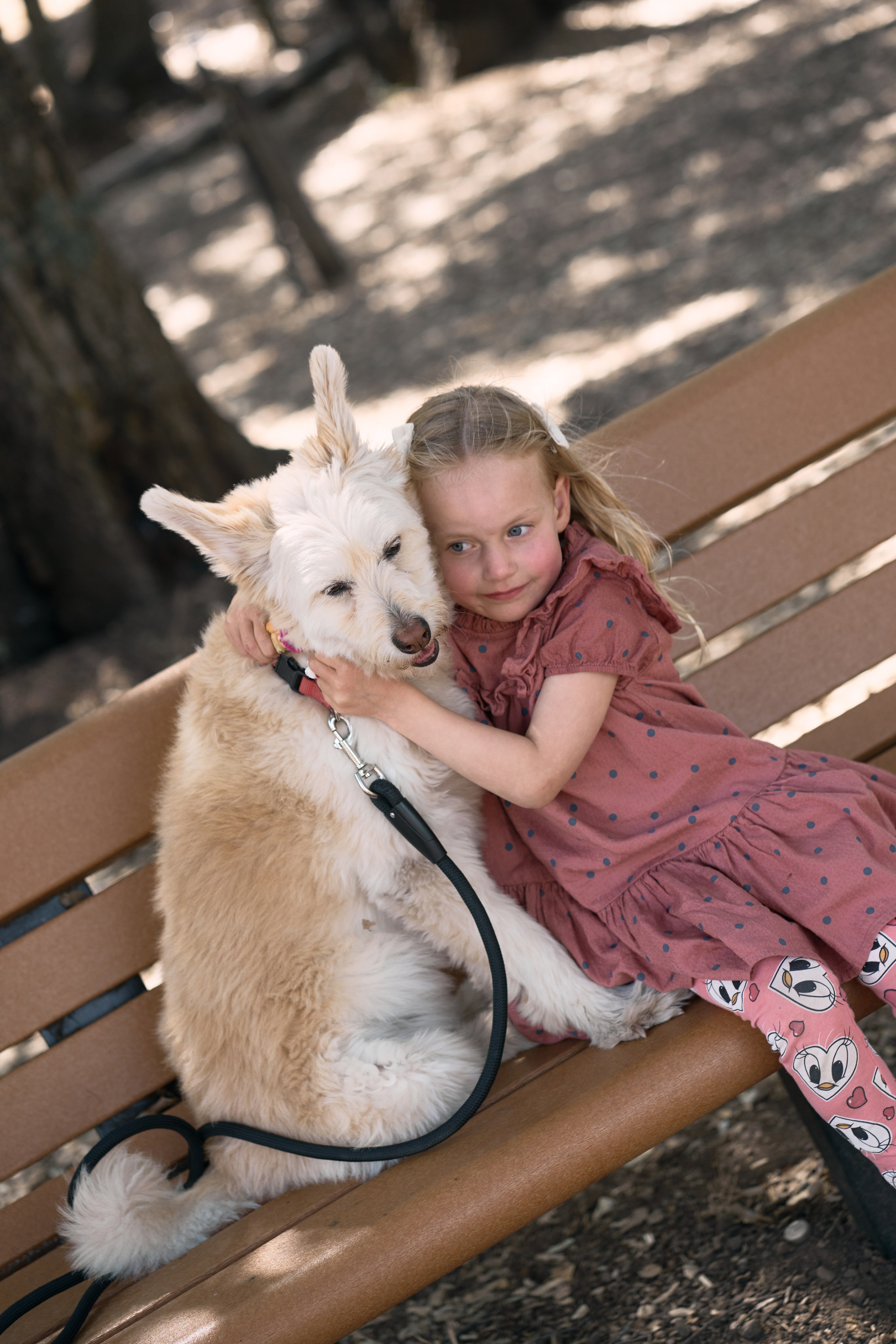 In the woods. Brand photography, Personal, Family Marina Zorina