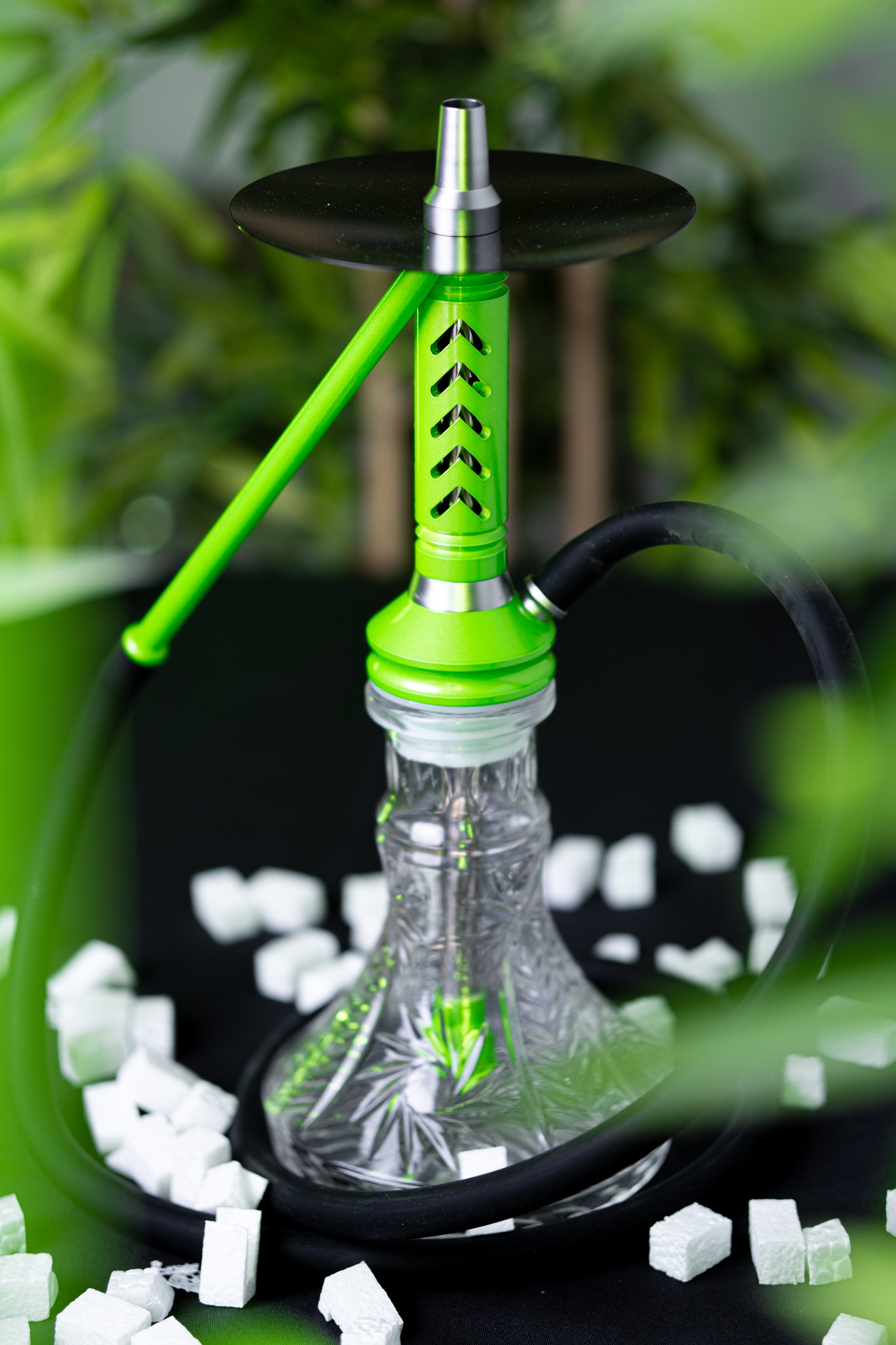 Cachimbas. Baby Beast