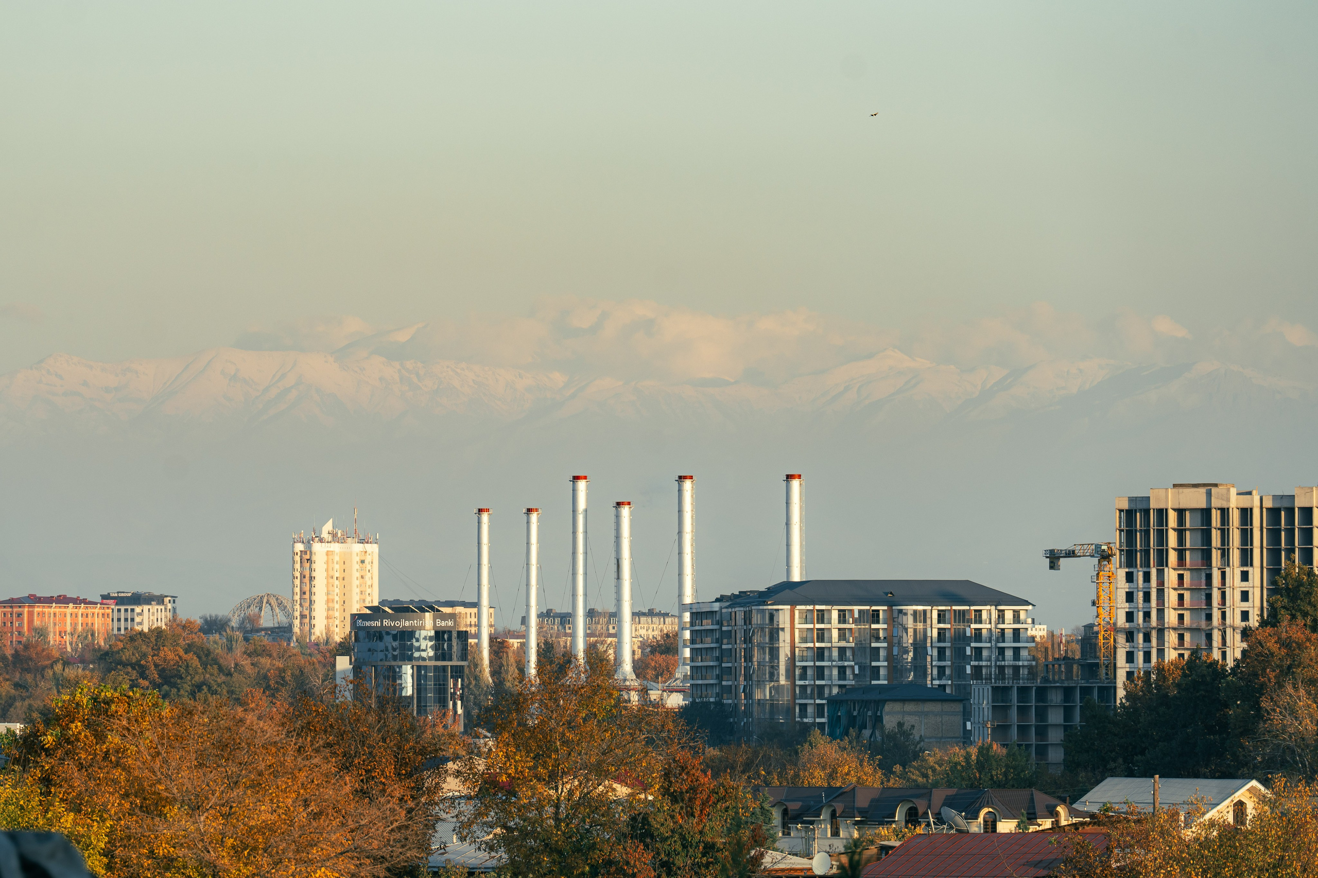 Ташкентская осень. Георгий Намазов | Фотограф в Ташкенте