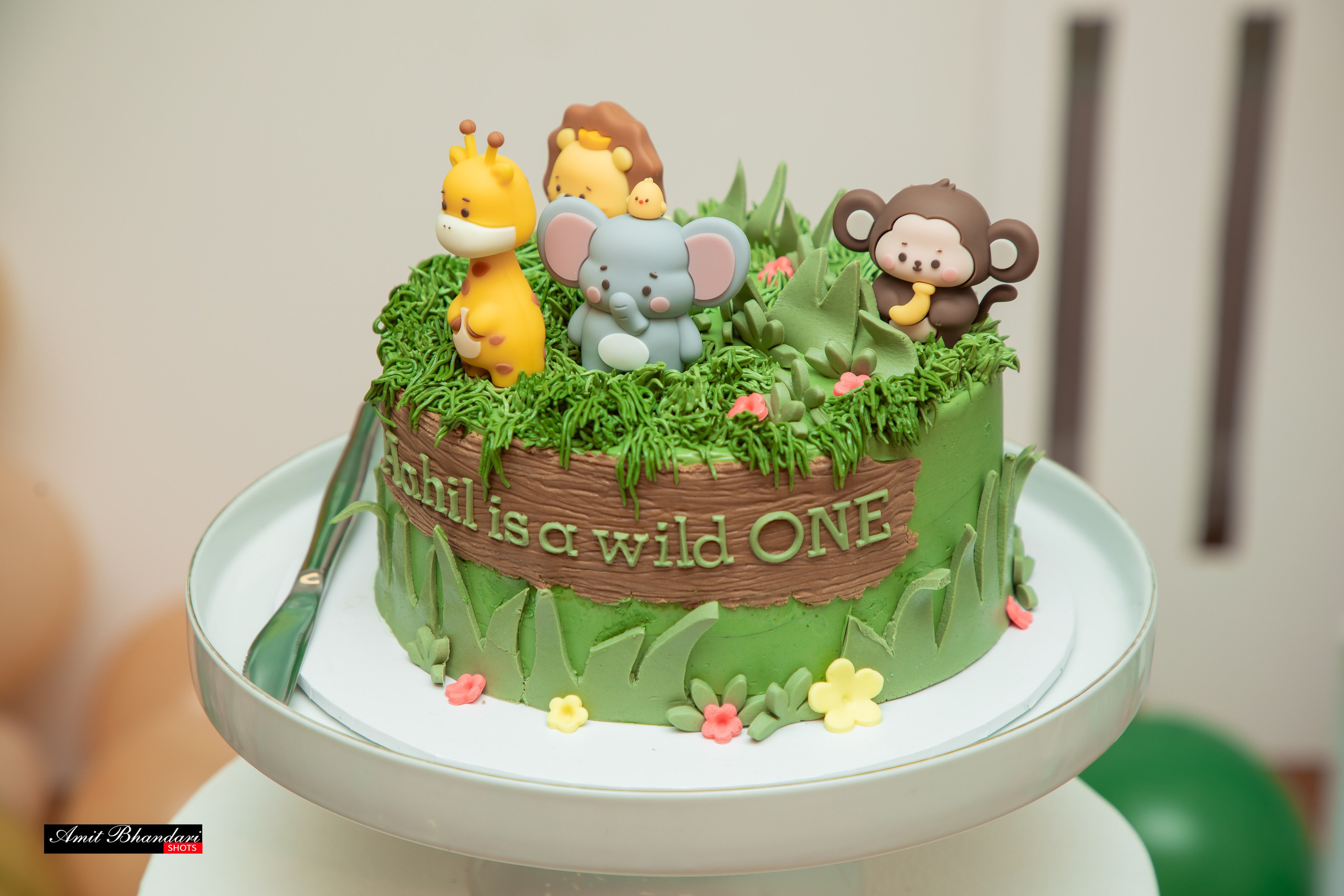 Ahil’s 1st Birthday. Freelance Photographer in Newcastle & Central Coast