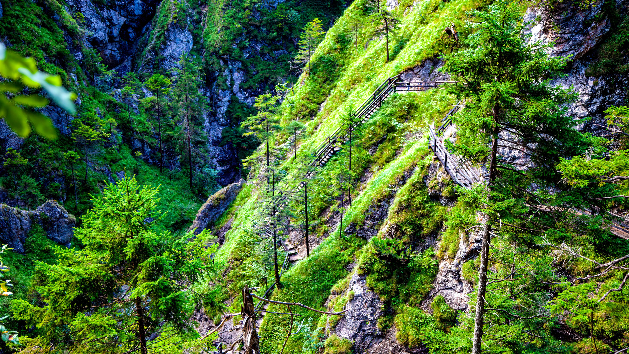 193.Wasserloch Klamm.Palfau.18.8.2025. Путешествия в формате 360......