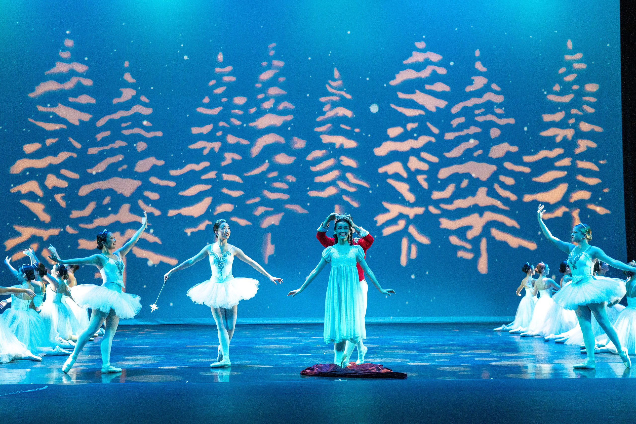 Nutcracker 2023. Santa Clarita Photographer