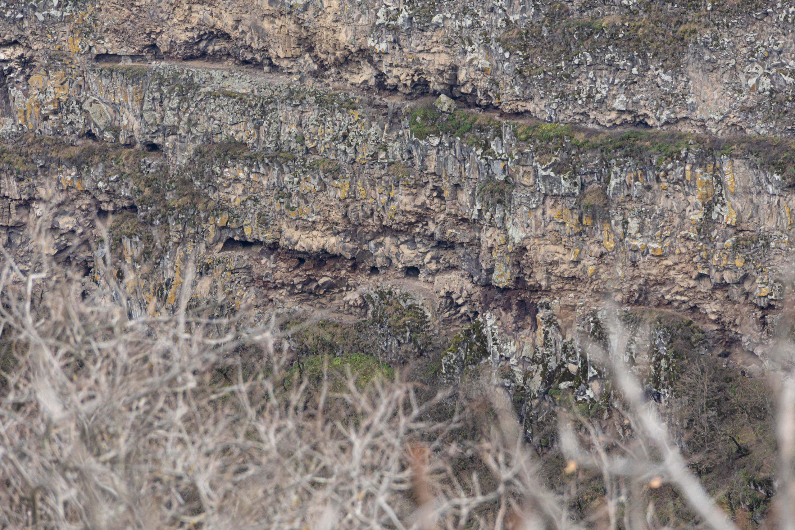 სამშვილდე. FramefreeMan