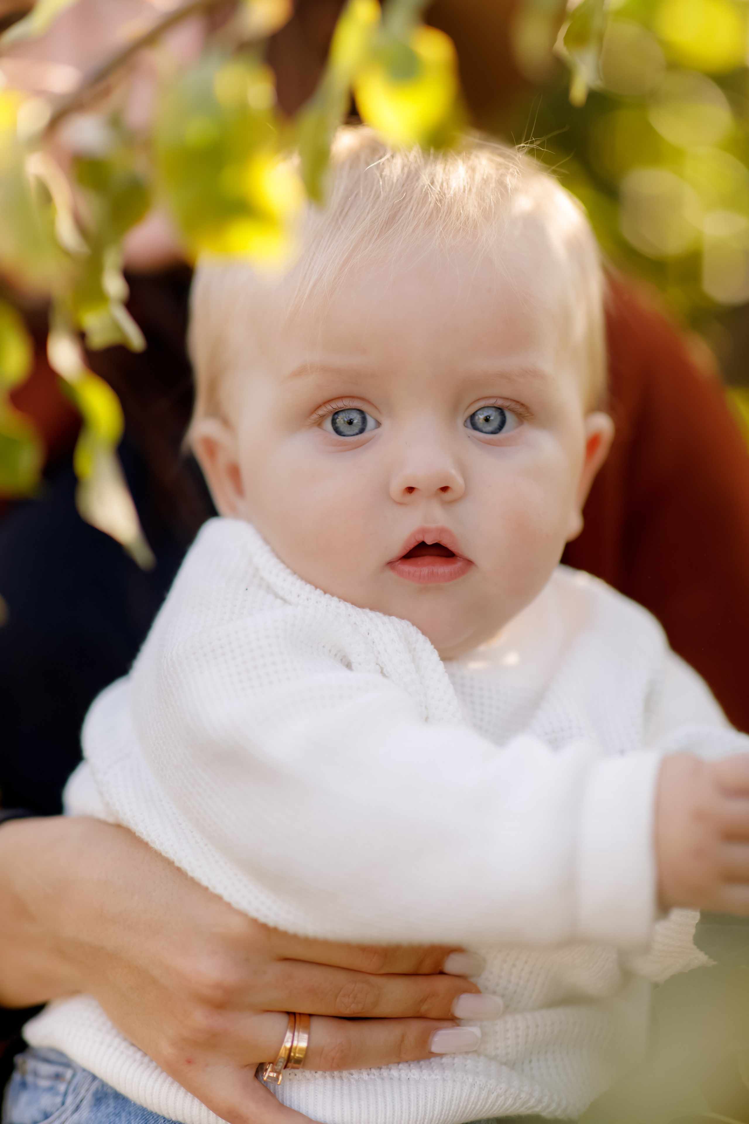 Family photo Mihaela Ungureanu. N.D.photograph - fotograf de familie și portrete în Republica Moldova