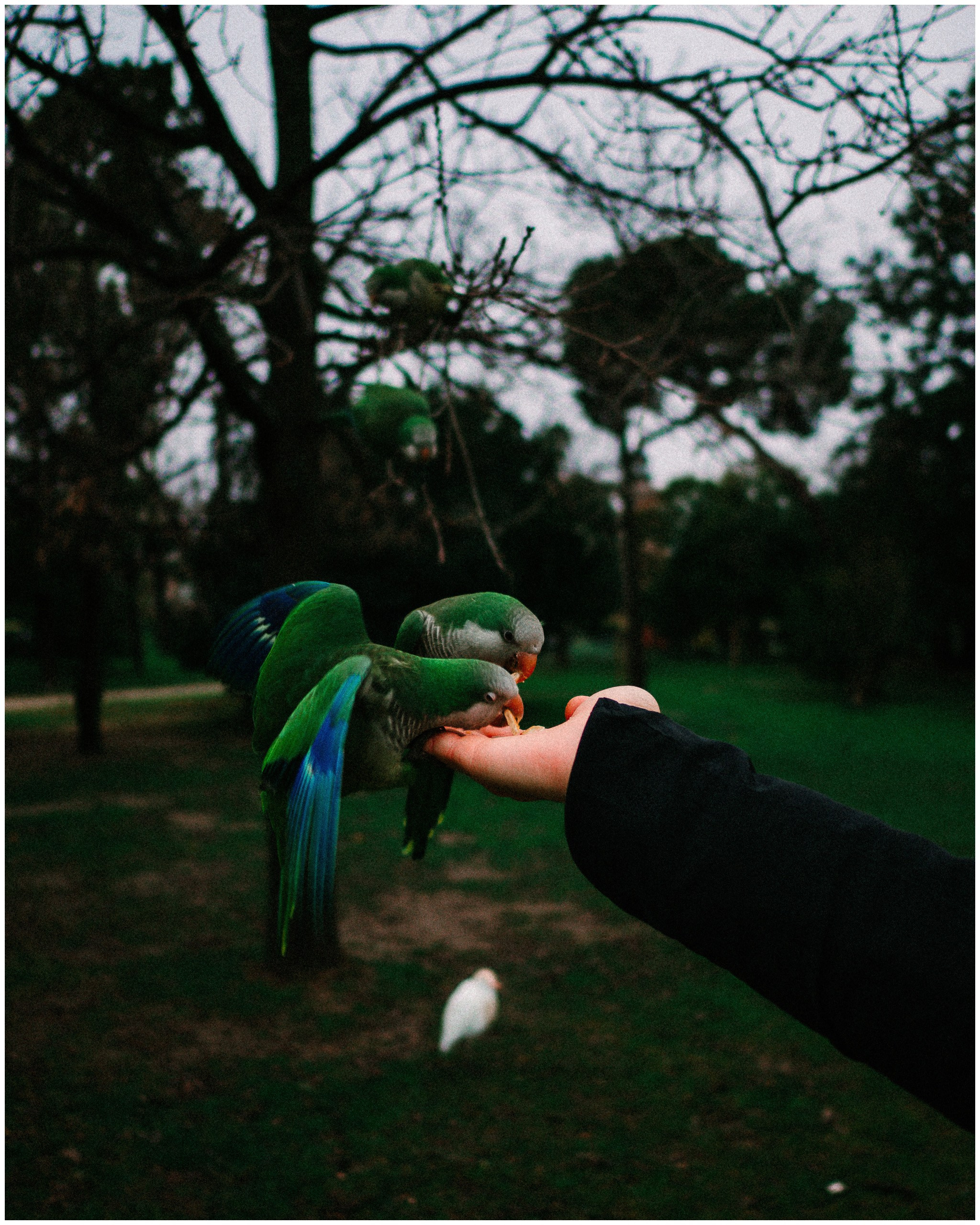 BARCELONA. Inna Mendelson — Photographer