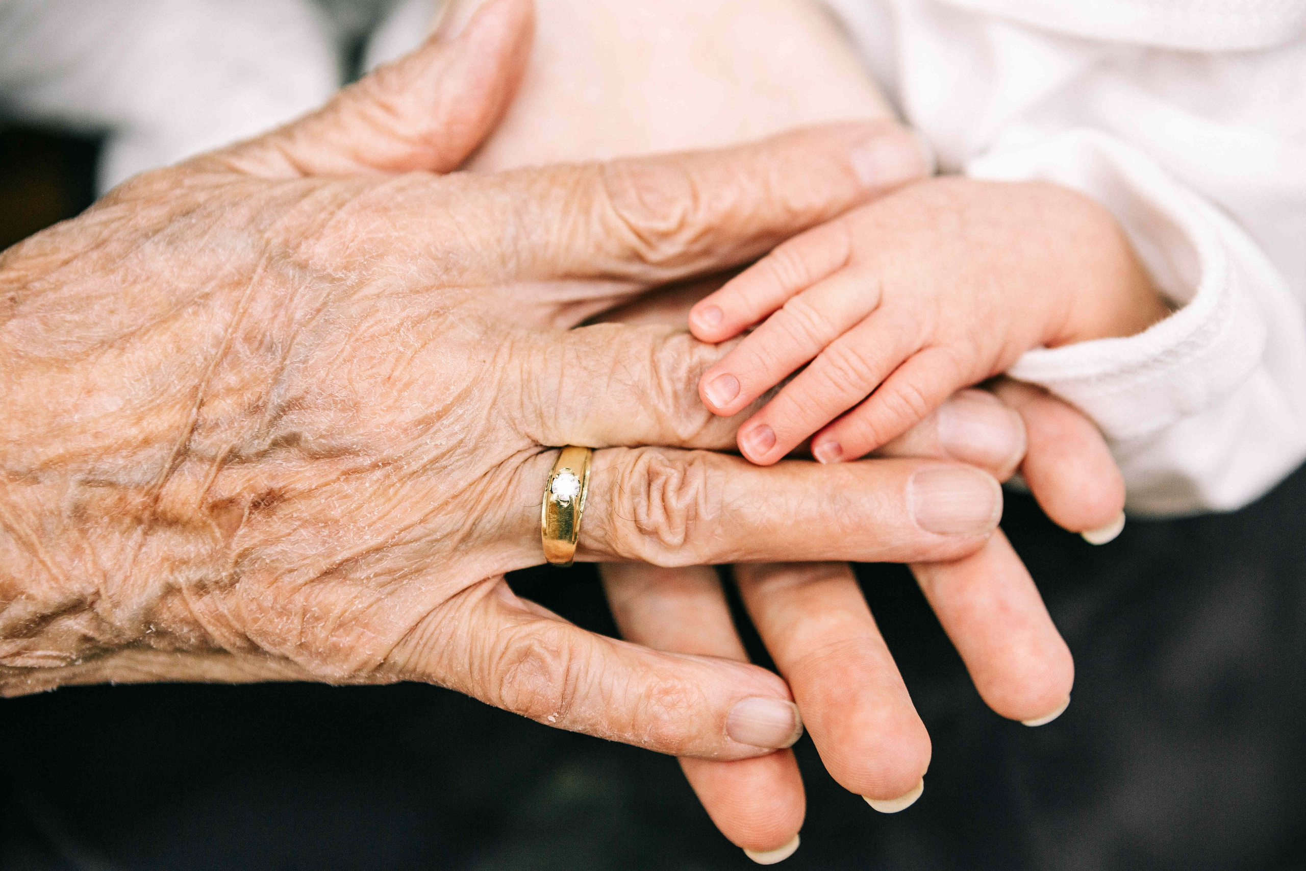 BRIT MILA IN MEVASERET ZION. Https://shi-photo.com/