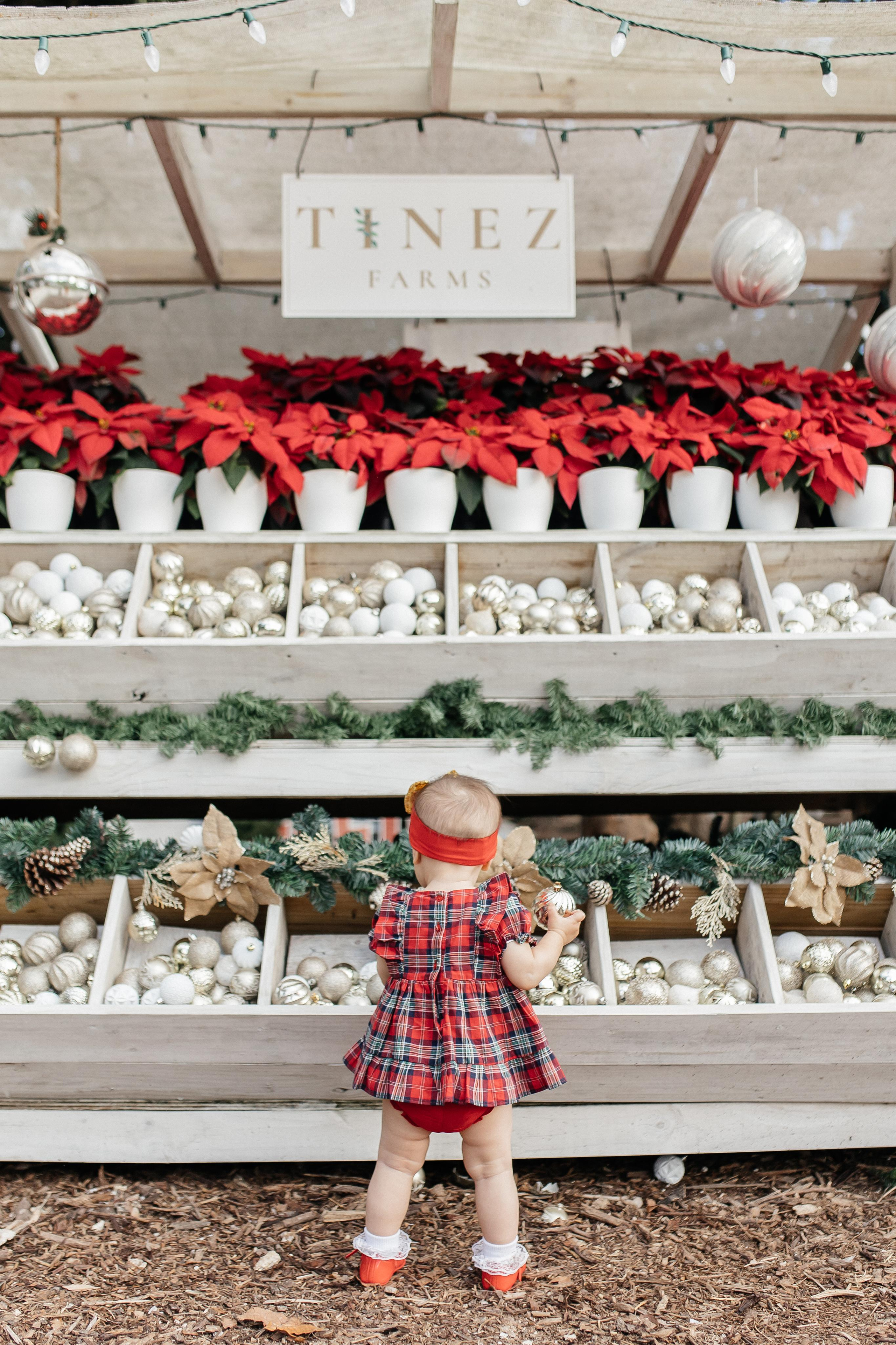 Monika. Family and Event photographer in Homestead and Miami areas of Florida