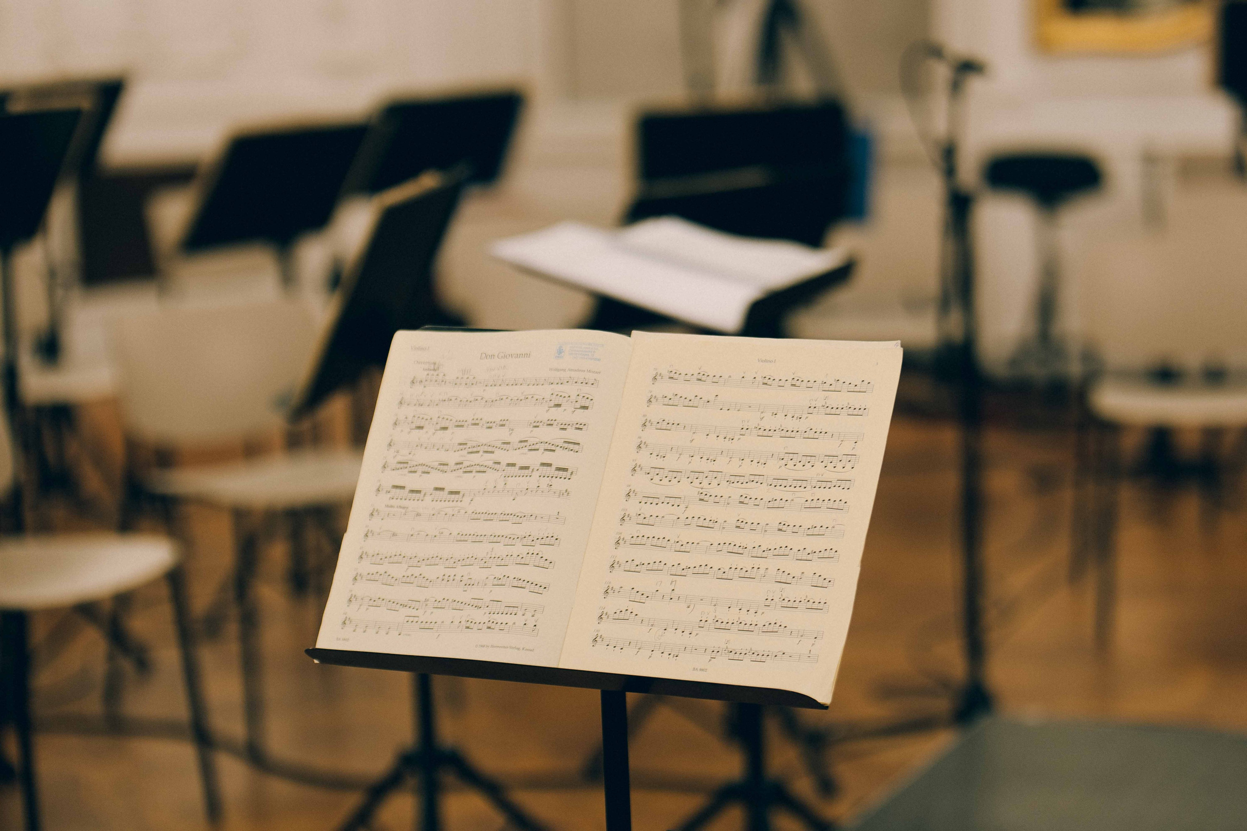 ANDRÁSSY UNIVERSITÄT (BUDAPEST). Wedding&Event photographer Ismail Rzayev in Baku