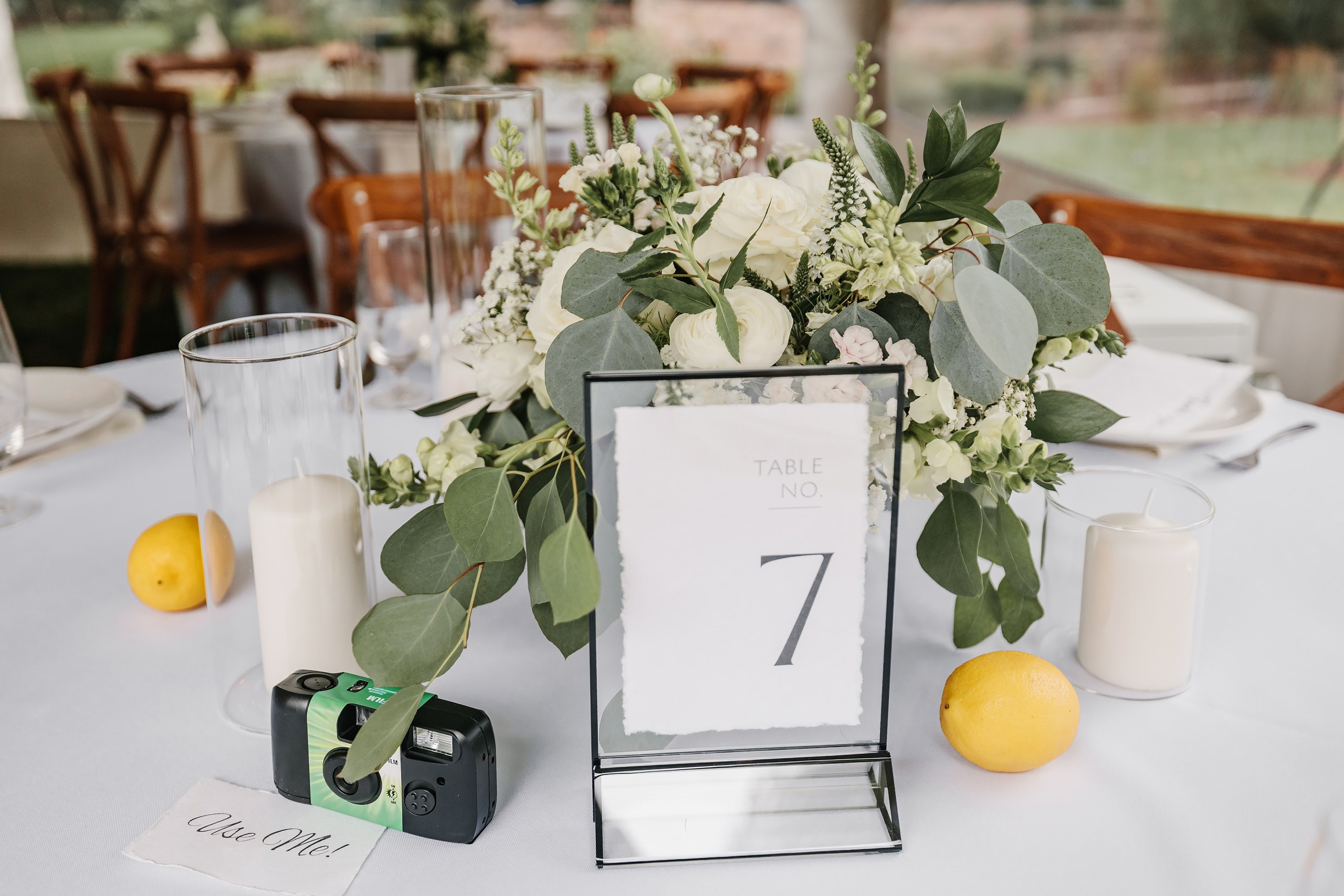 10.08.2023 Wedding. Wedding family event photographer in Chicago Nick Yushevich