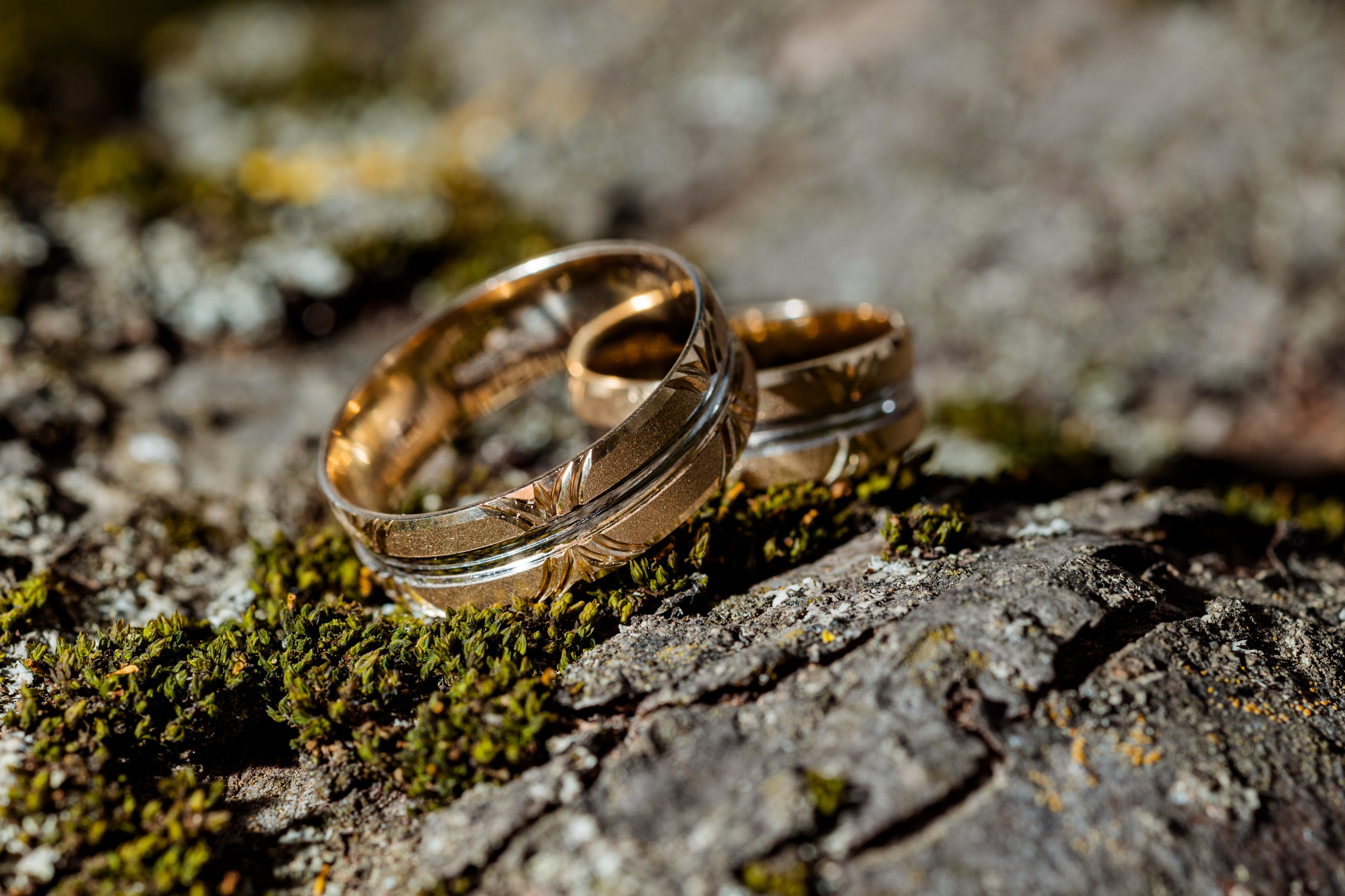 Cristian & Brîndușa. Fotograf prin #Piatraneamt-Alessander Enache