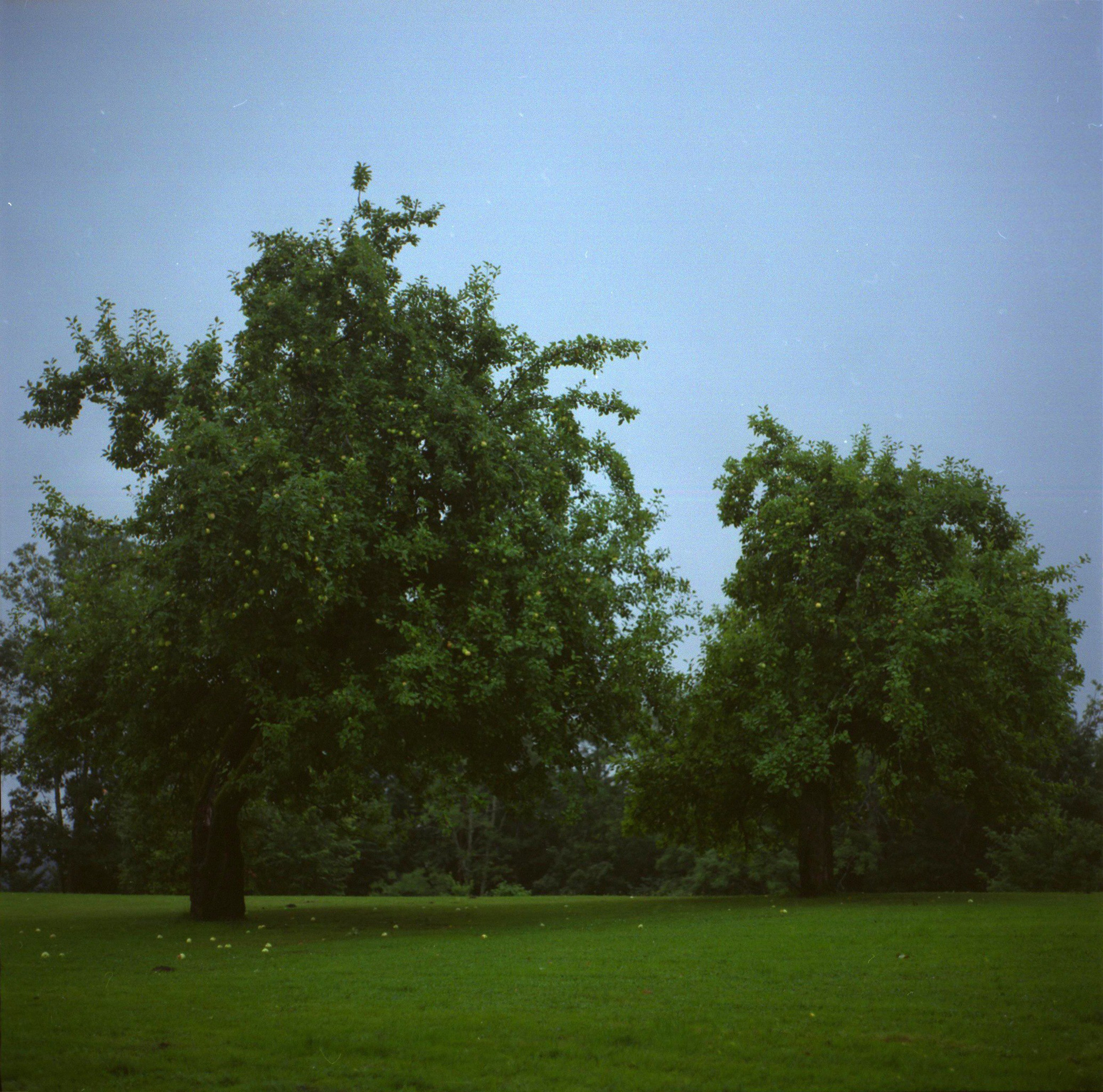 🏠︎. Map of the Borderlands