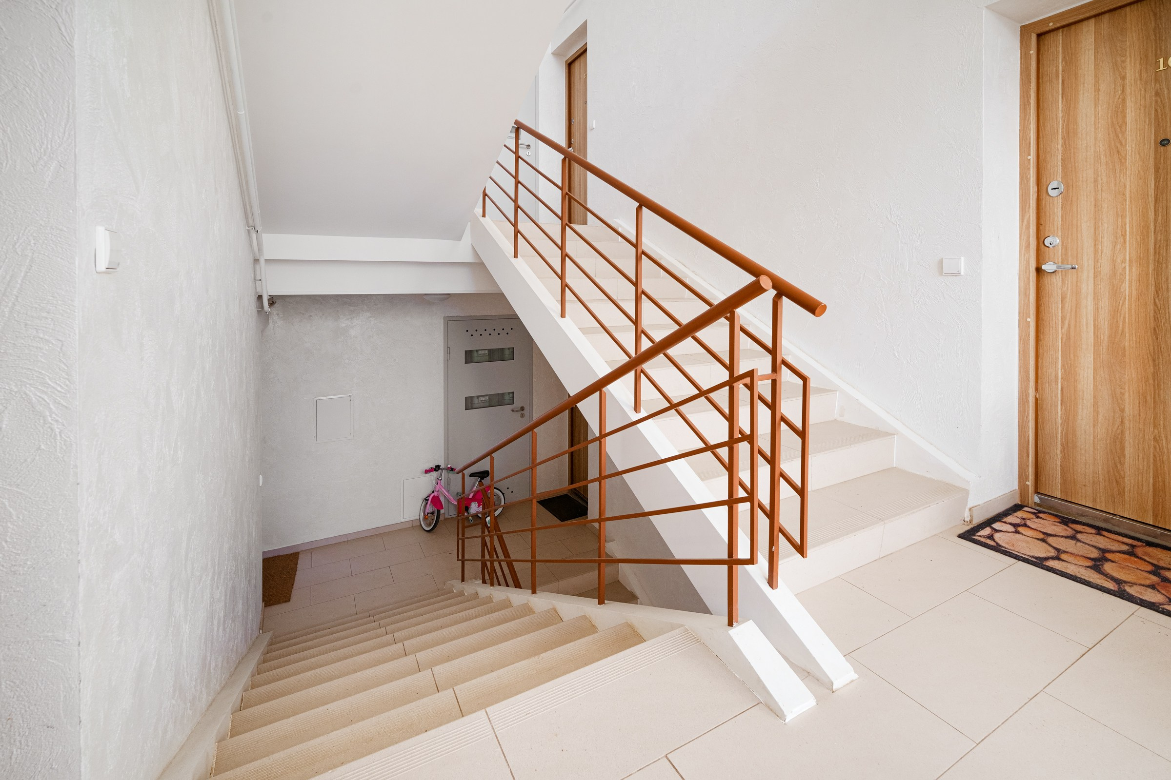 N.Lentvaris. Elina Sapiega fotografė Vilniuje