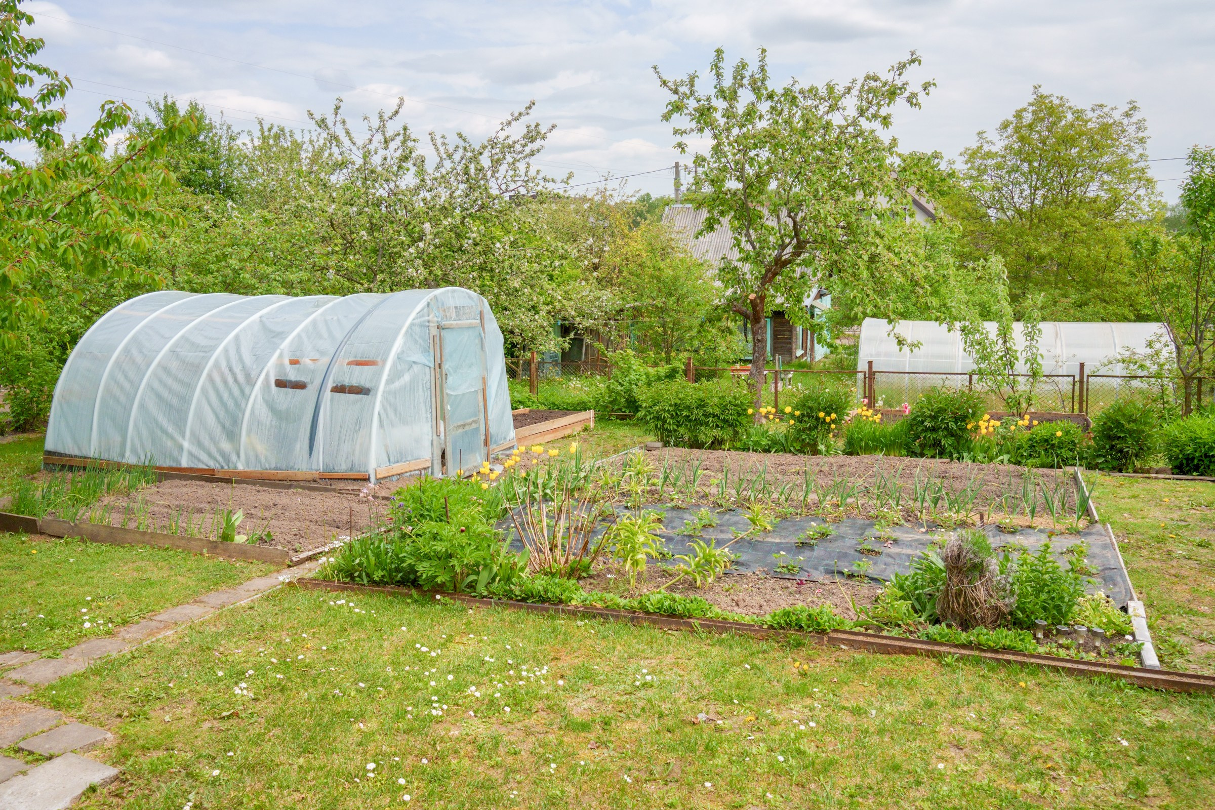 Pupojų sodų 3-oji. Elina Sapiega fotografė Vilniuje