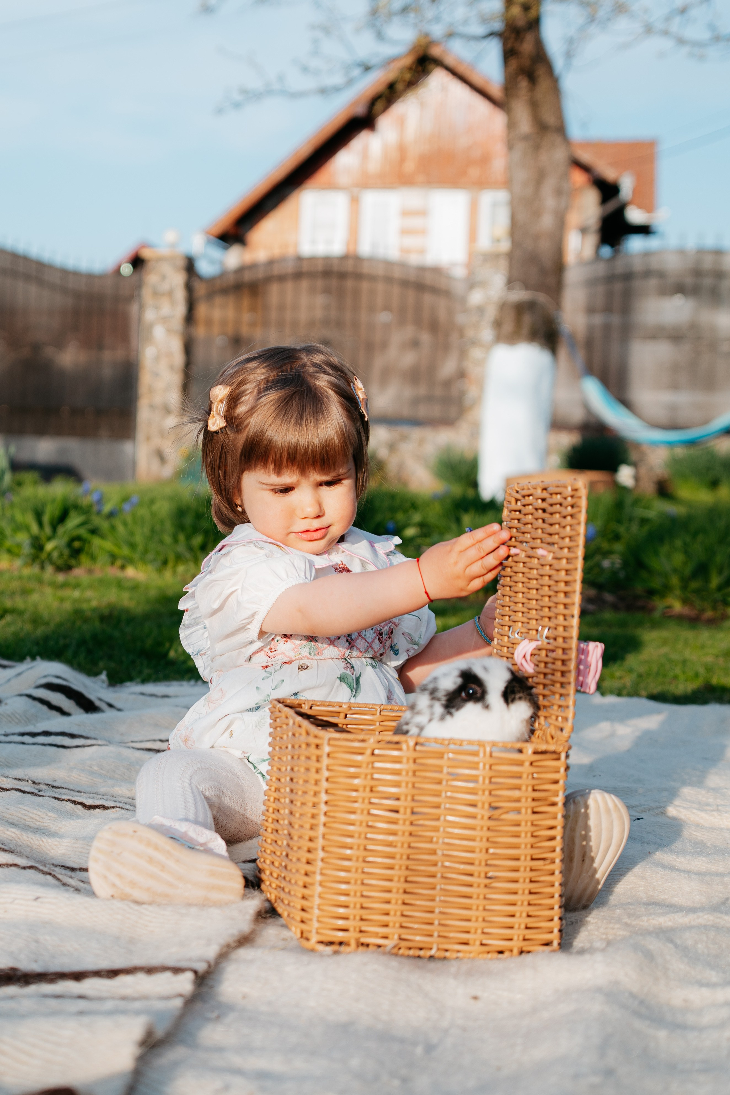 EASTER. Ars Vidi | Digital Solutions