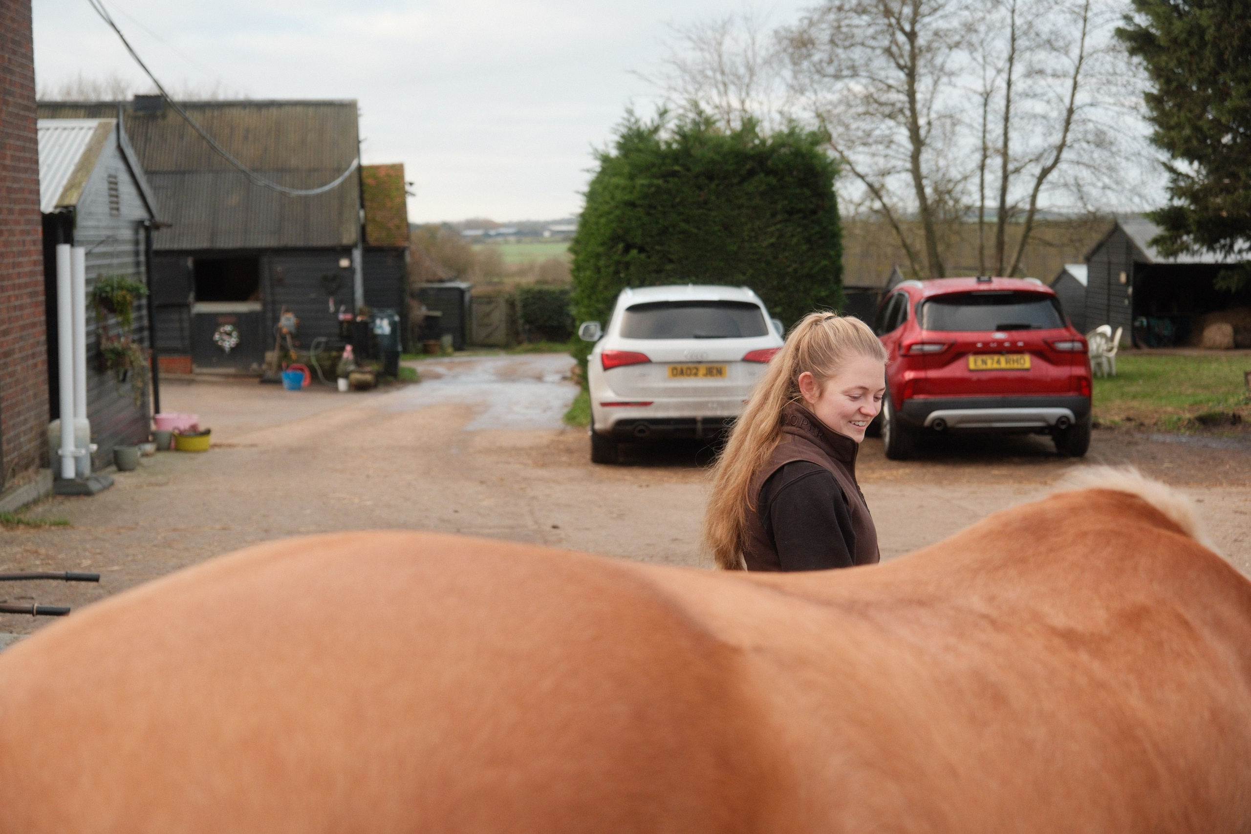 Portrait photography with Fudge the horse. Cal Takes Photos