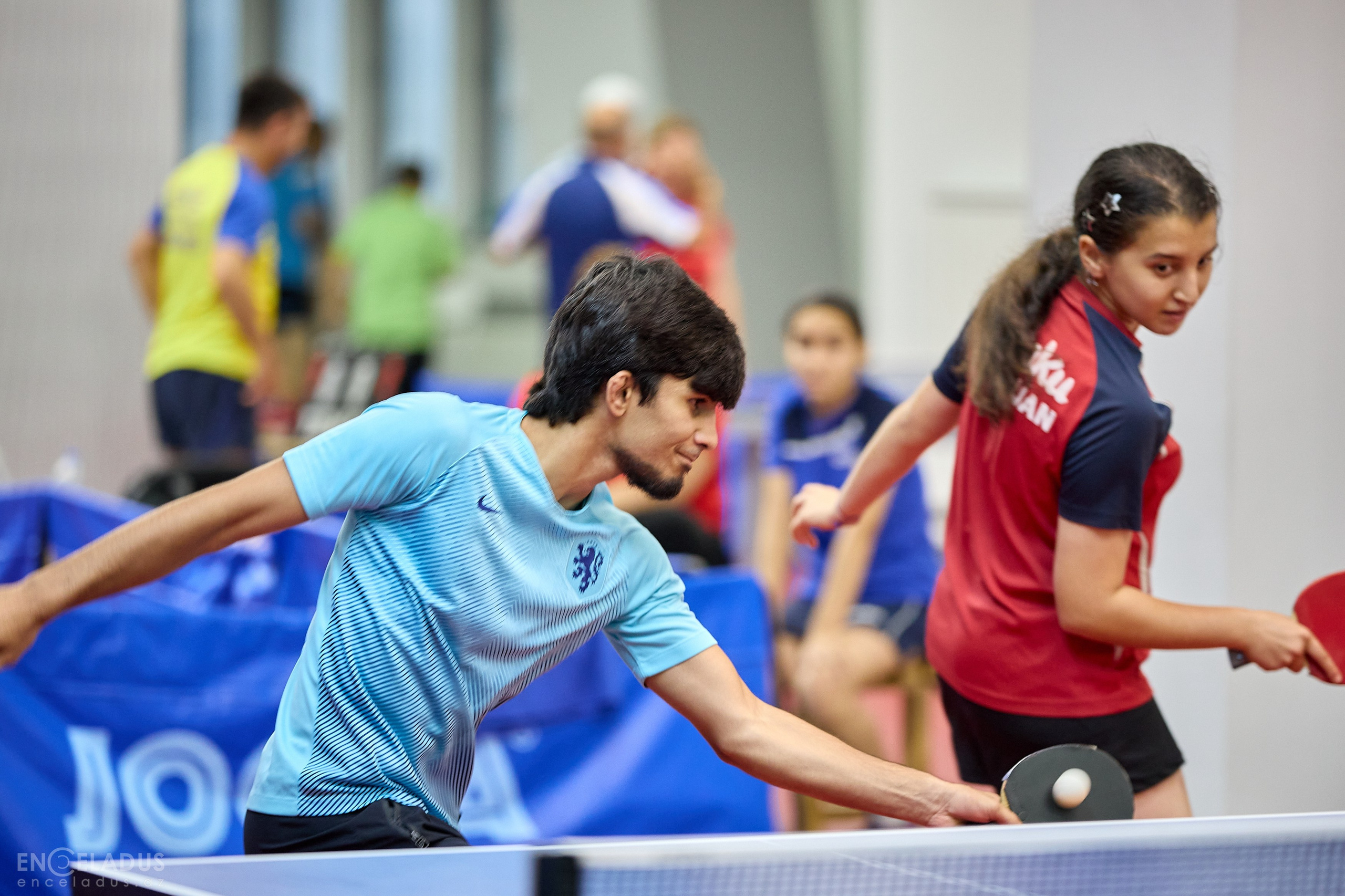 Table Tennis. Mix Tournament. Фотограф в Баку Kamran Enceladus