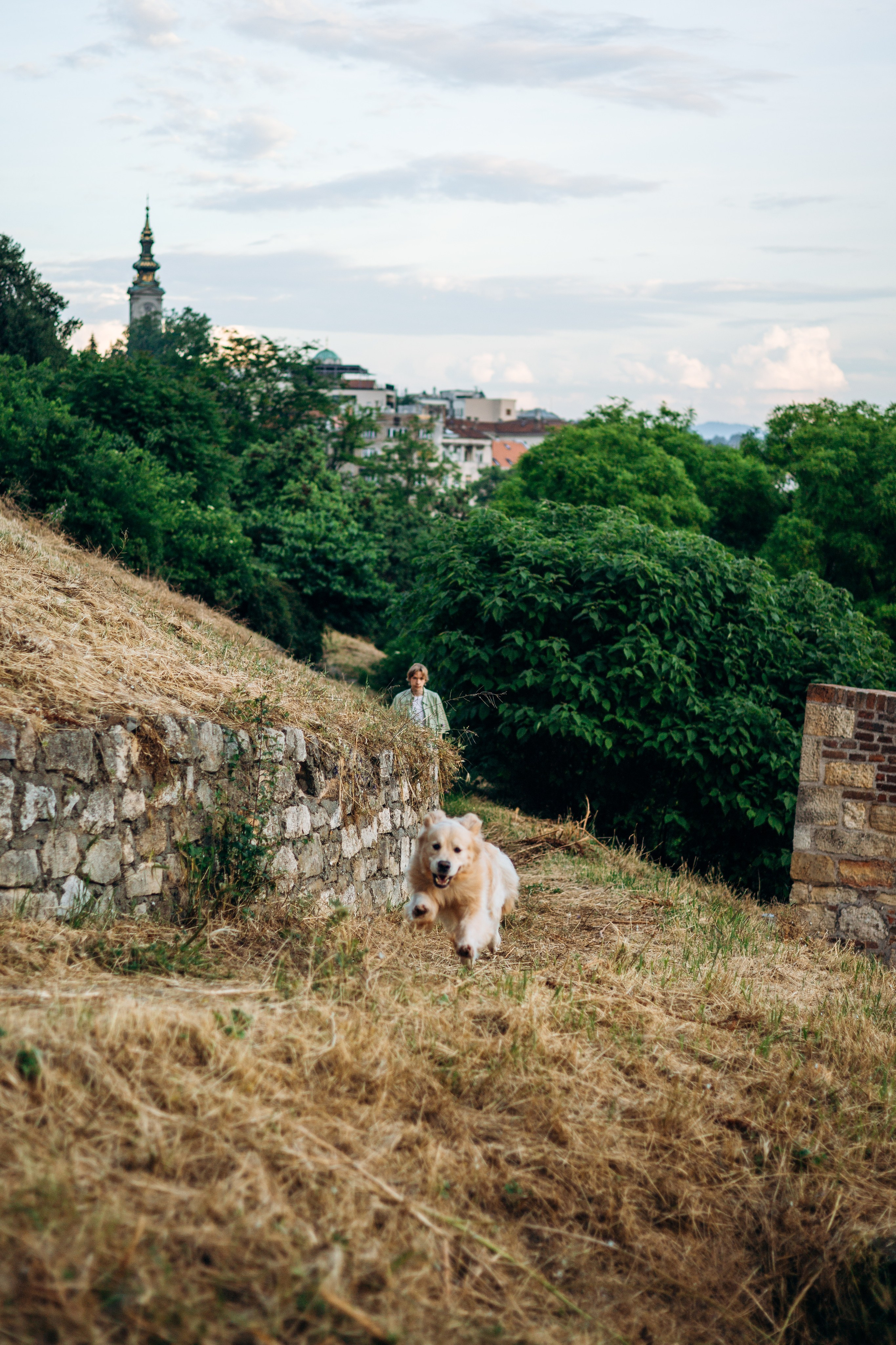 Глеб и Инди. Фотограф-анималист | Белград