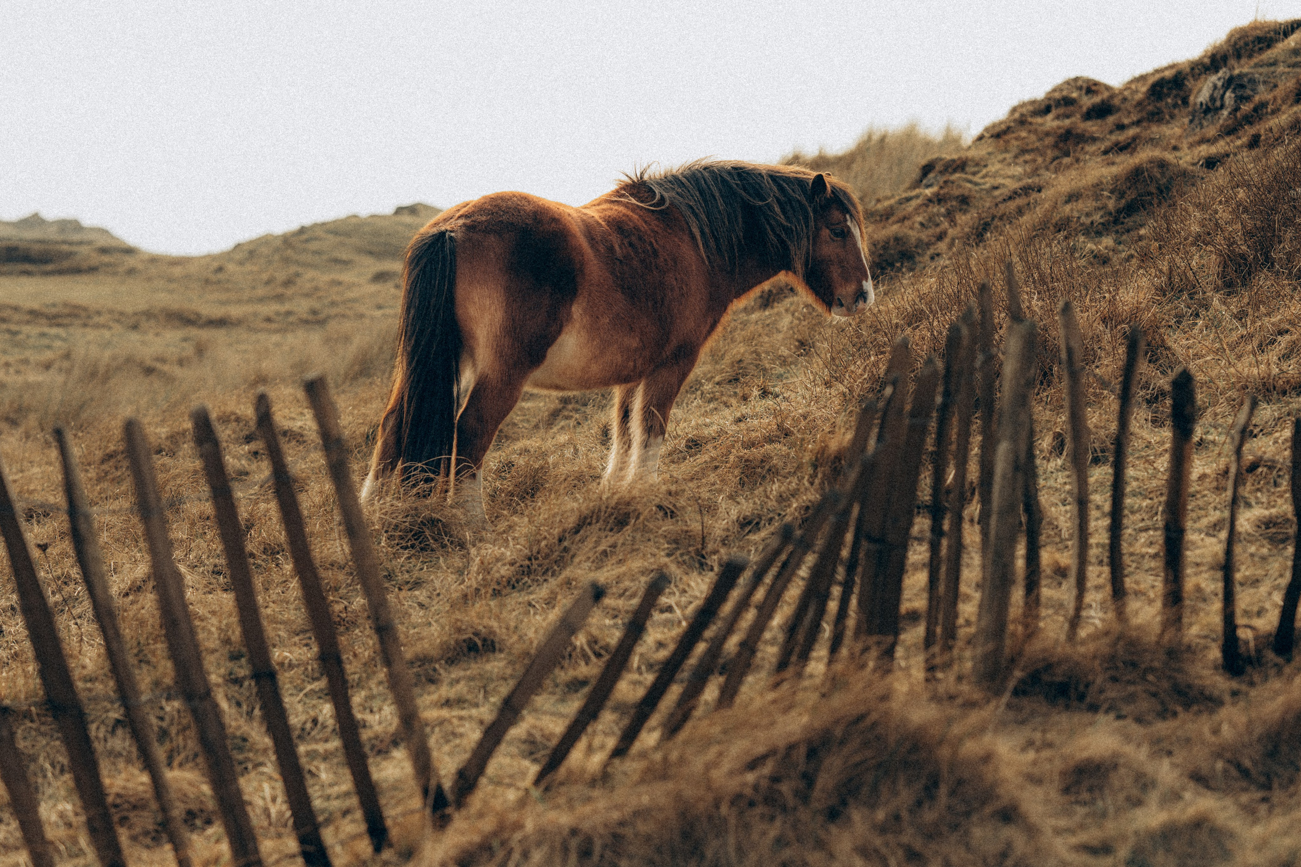 M & C session in Wales. Tania Gandrabur, photographer in West Midlands, England