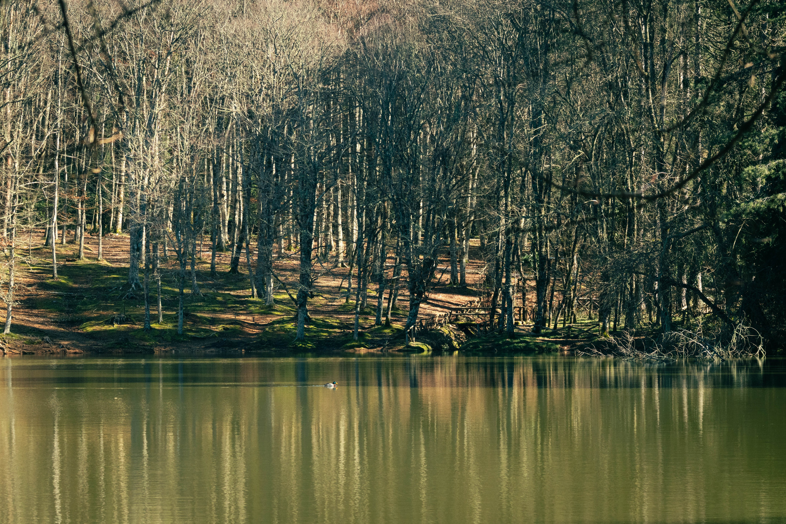 Landscape. Portrait and Street photographer in Vilnius Edgar Shaipunas