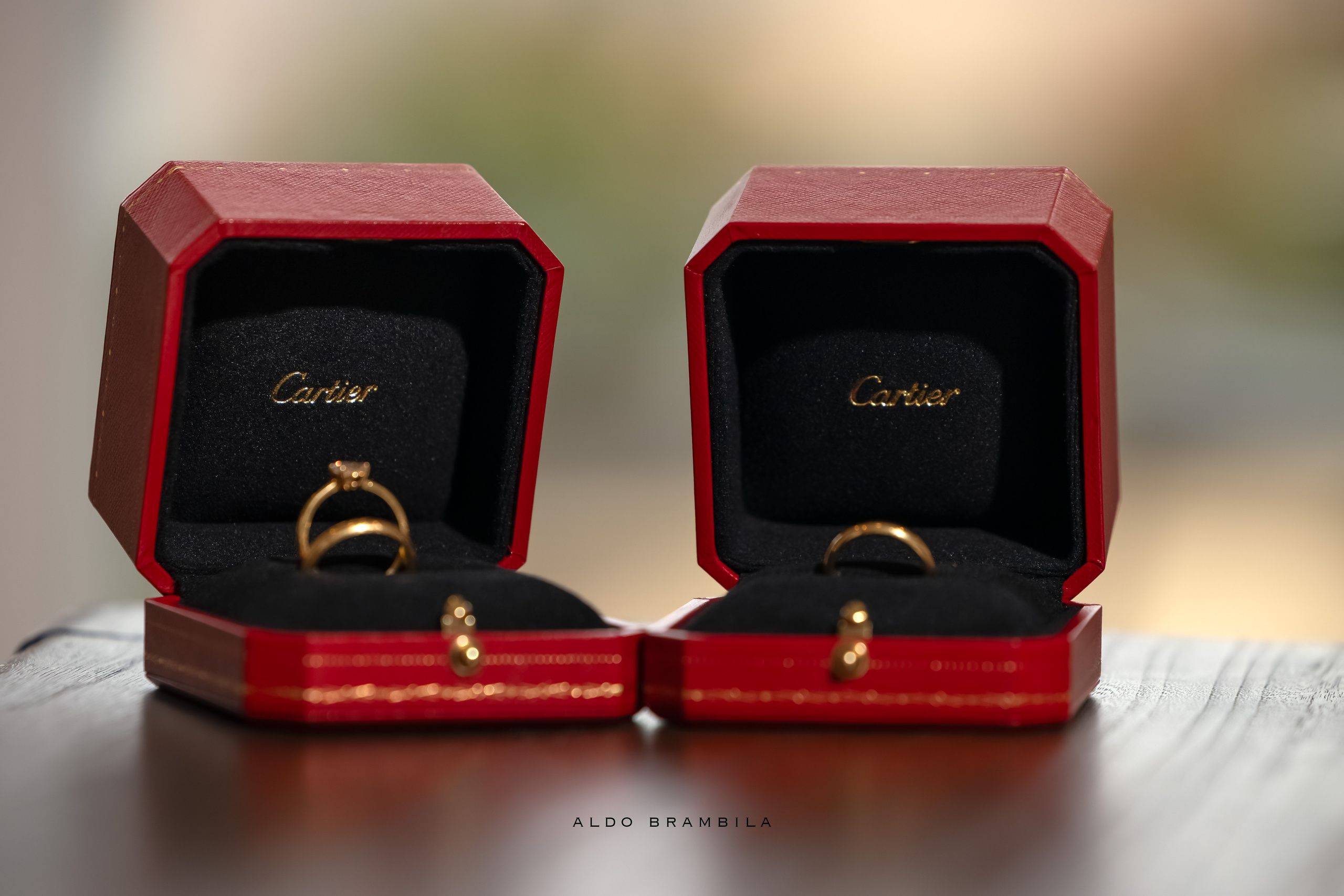 Fotografia de Bodas. Aldo Brambila fotografo de eventos y sociales