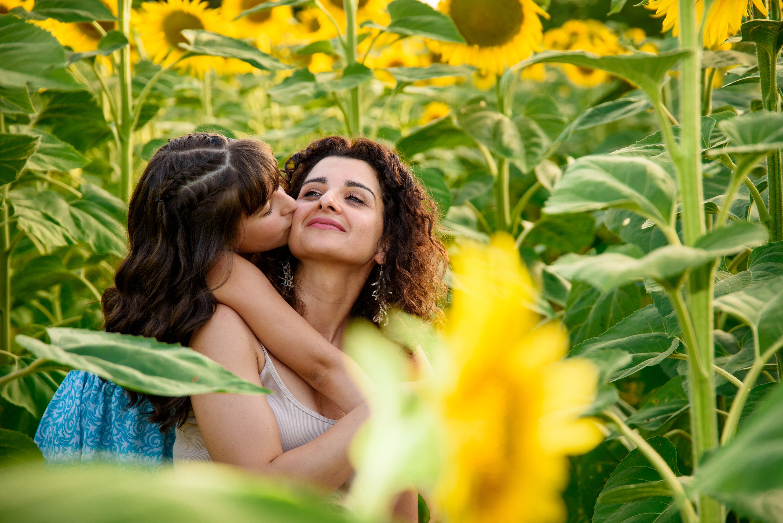 Campo di Girasole. Fotografo di famiglia