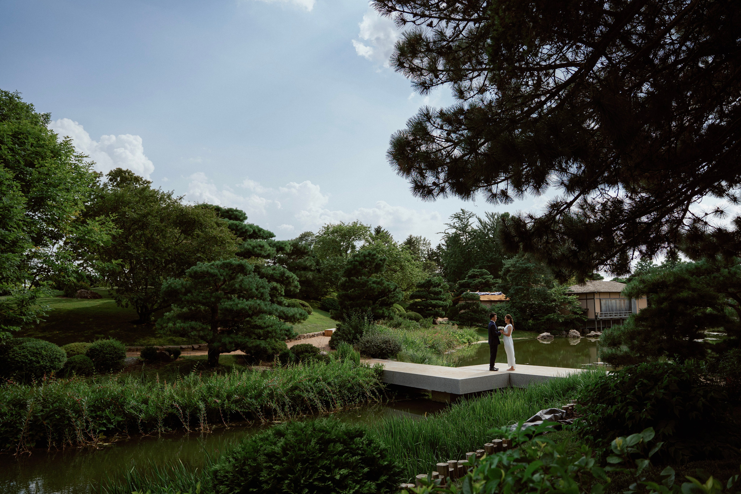 Wedding Photography | Chicago Botanic Garden & Downtown Chicago. Main