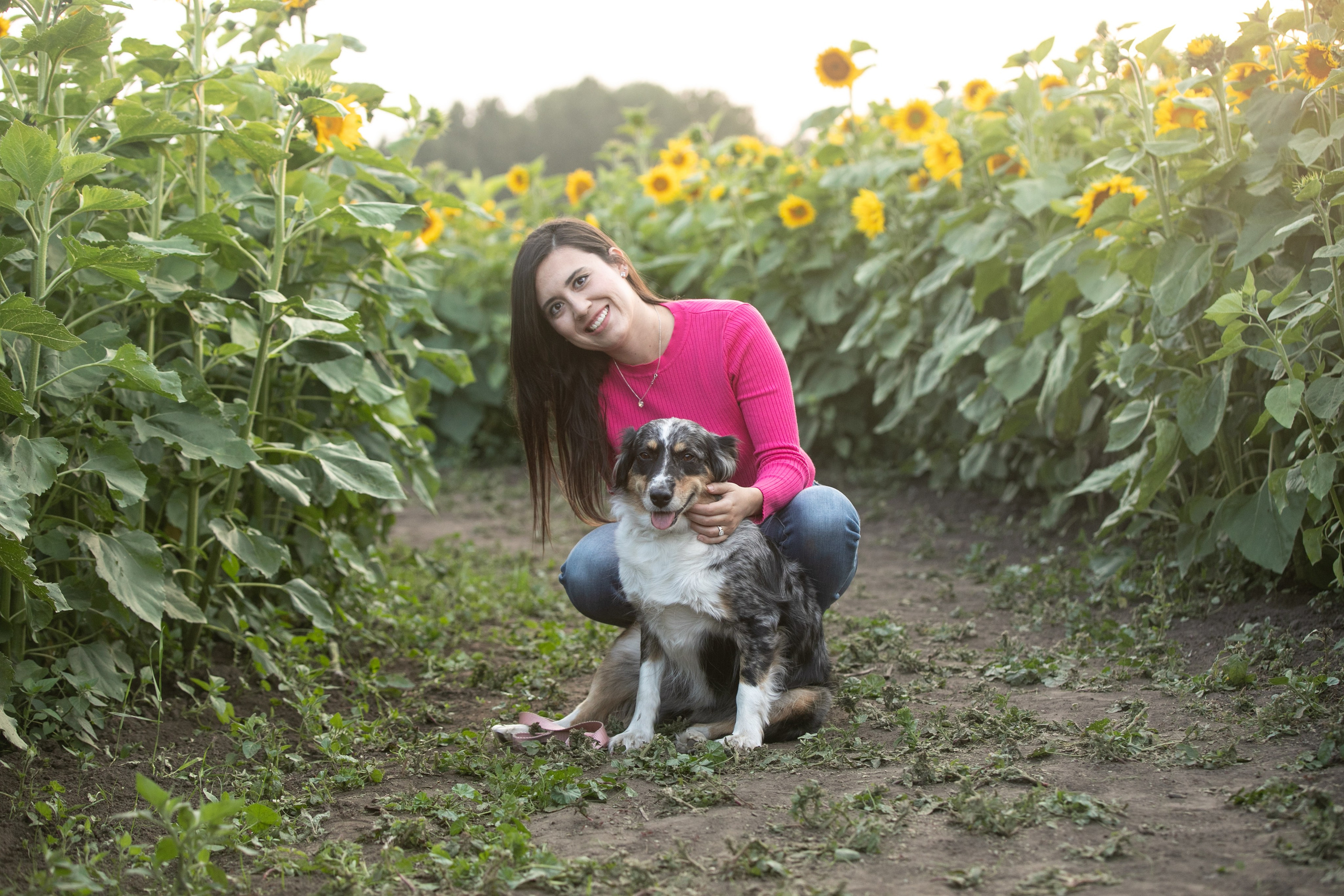 Bowden Sunmaze Ana Pau. Fotografía accesible en Calgary