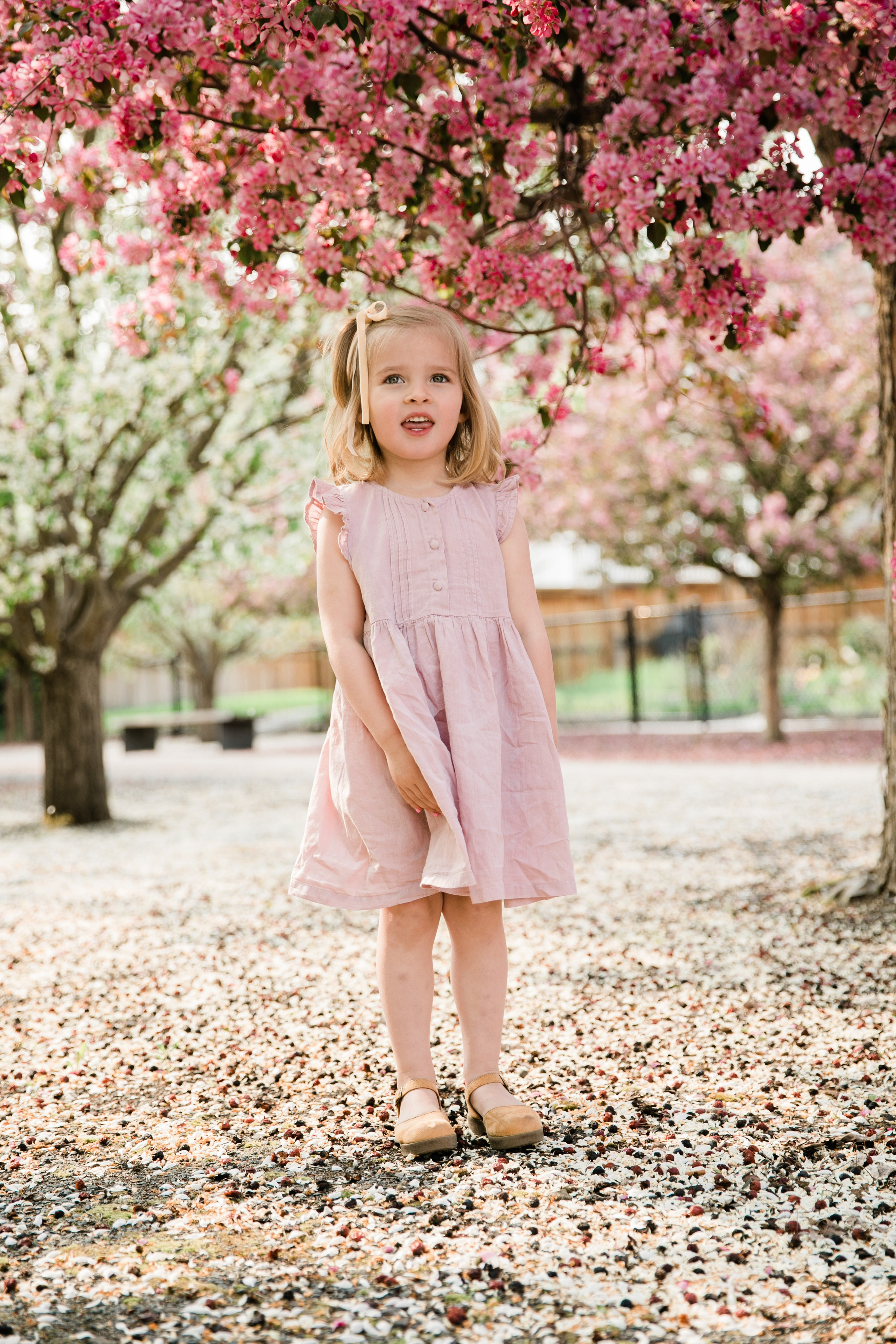 Pitchers Family Photos — Cherry Blossom. Fotografía accesible en Calgary