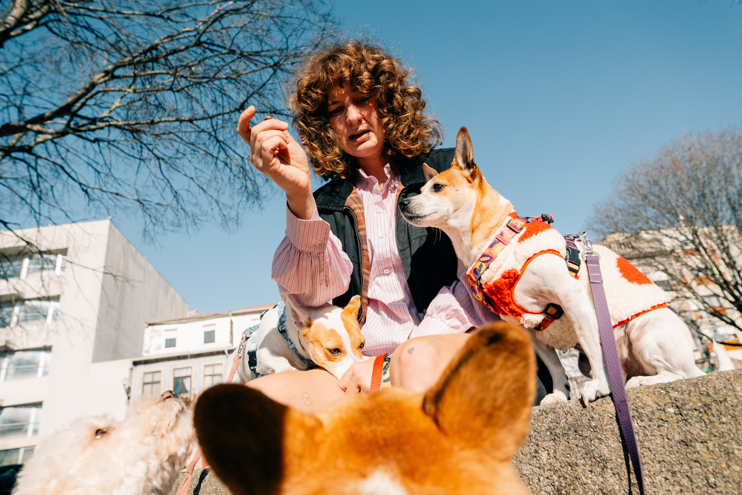 Yana & Doggos in Bonfim. Maria Sher. Professional photographer from Porto, Portugal