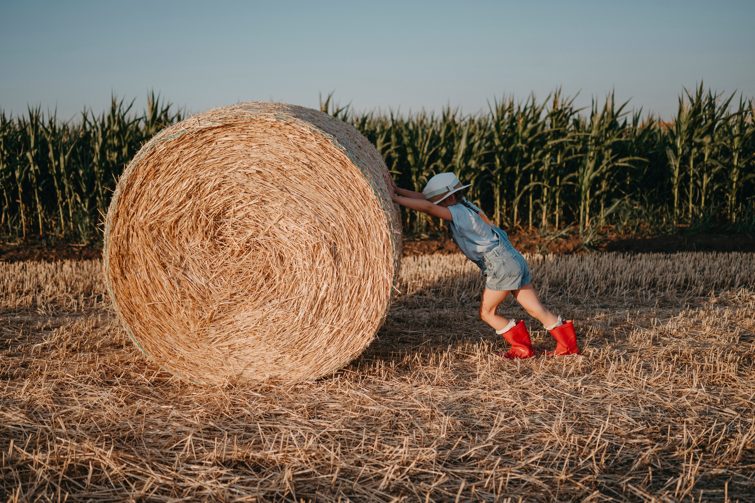 Letnje fotografisanje u polju suncokreta i sena. Deciji i porodicni fotograf u Beogradu Oksana Skendzic