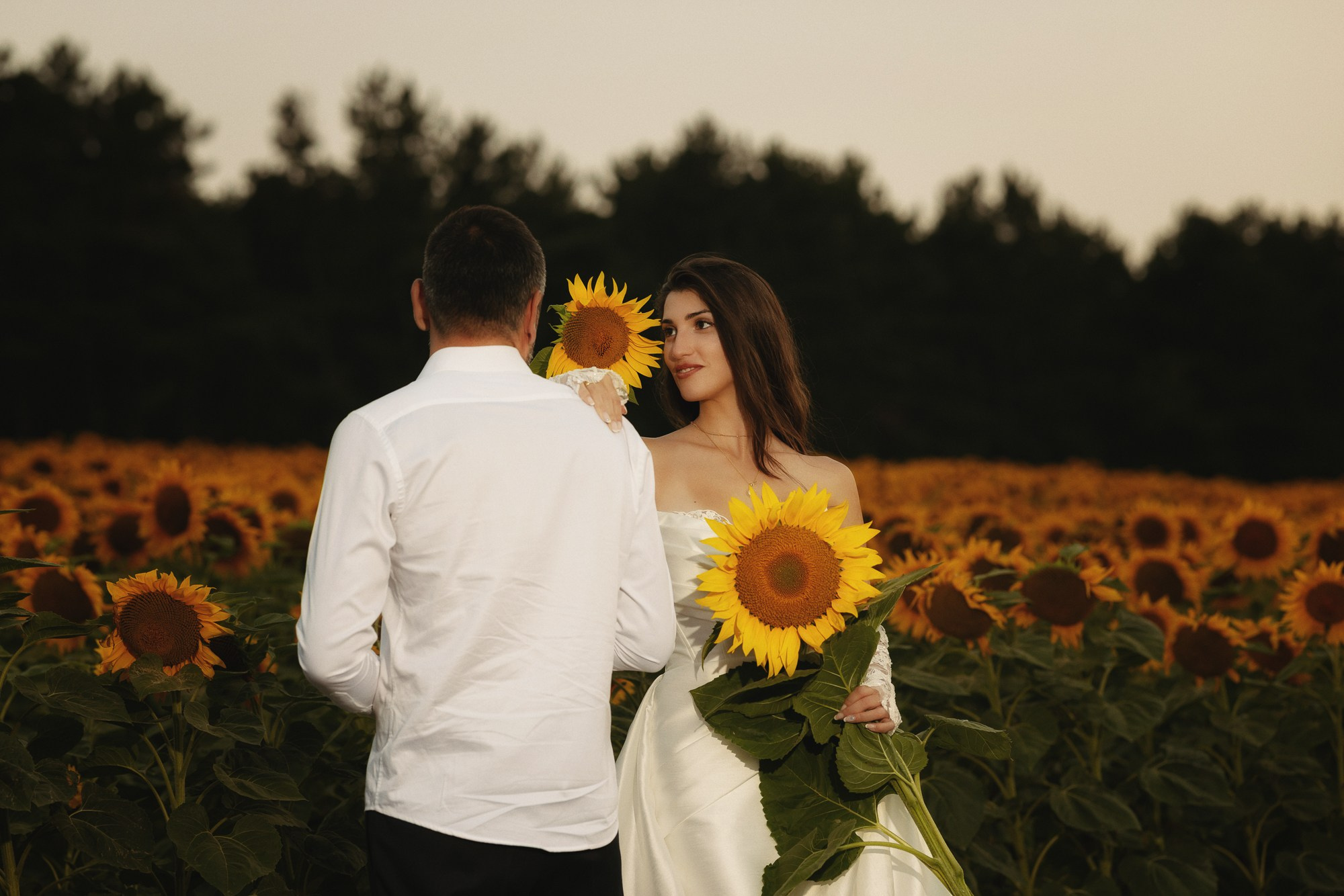 Sunflowers. Lika Gabunia photography lika gabunia