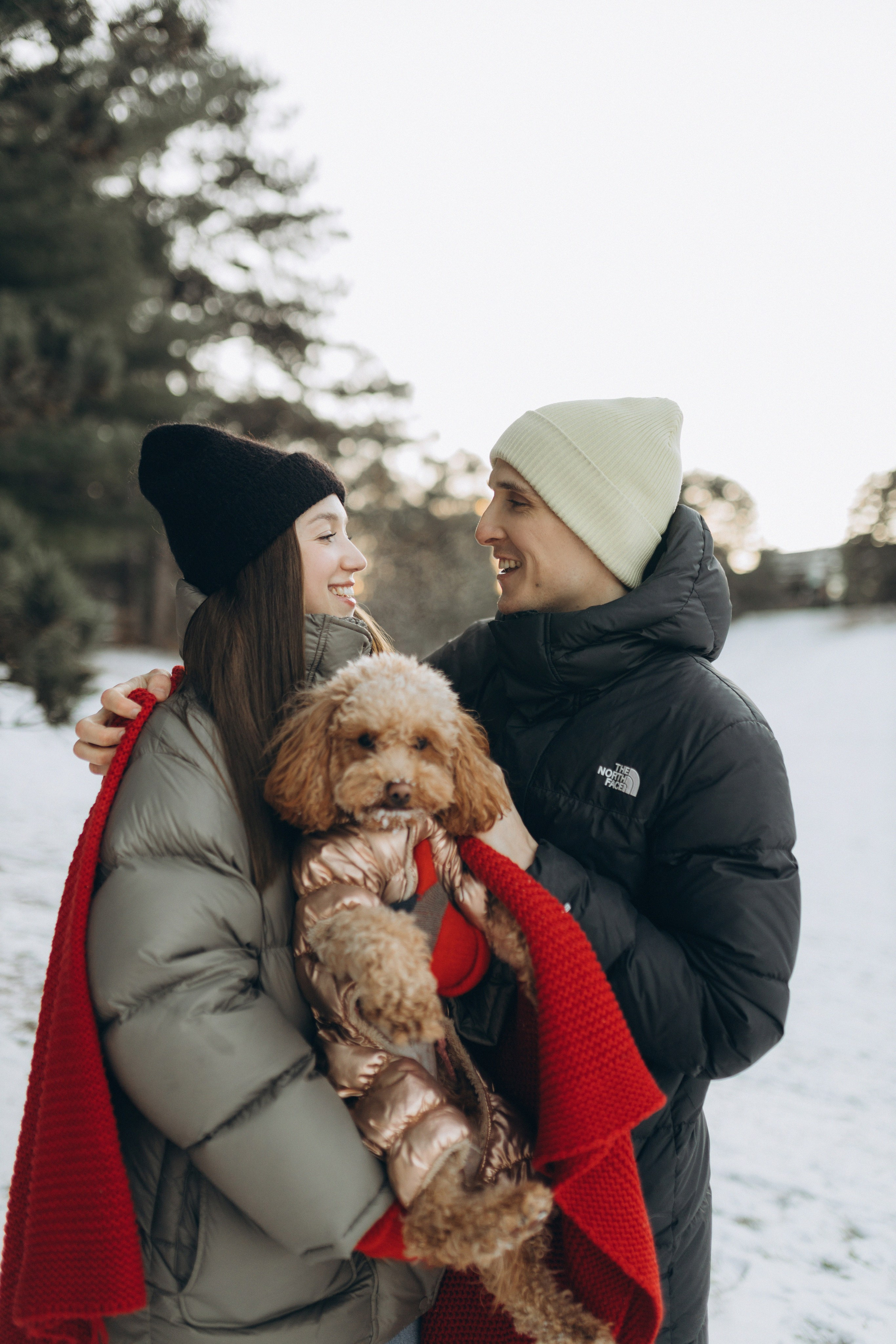 Winter magic. Chernenko.photography