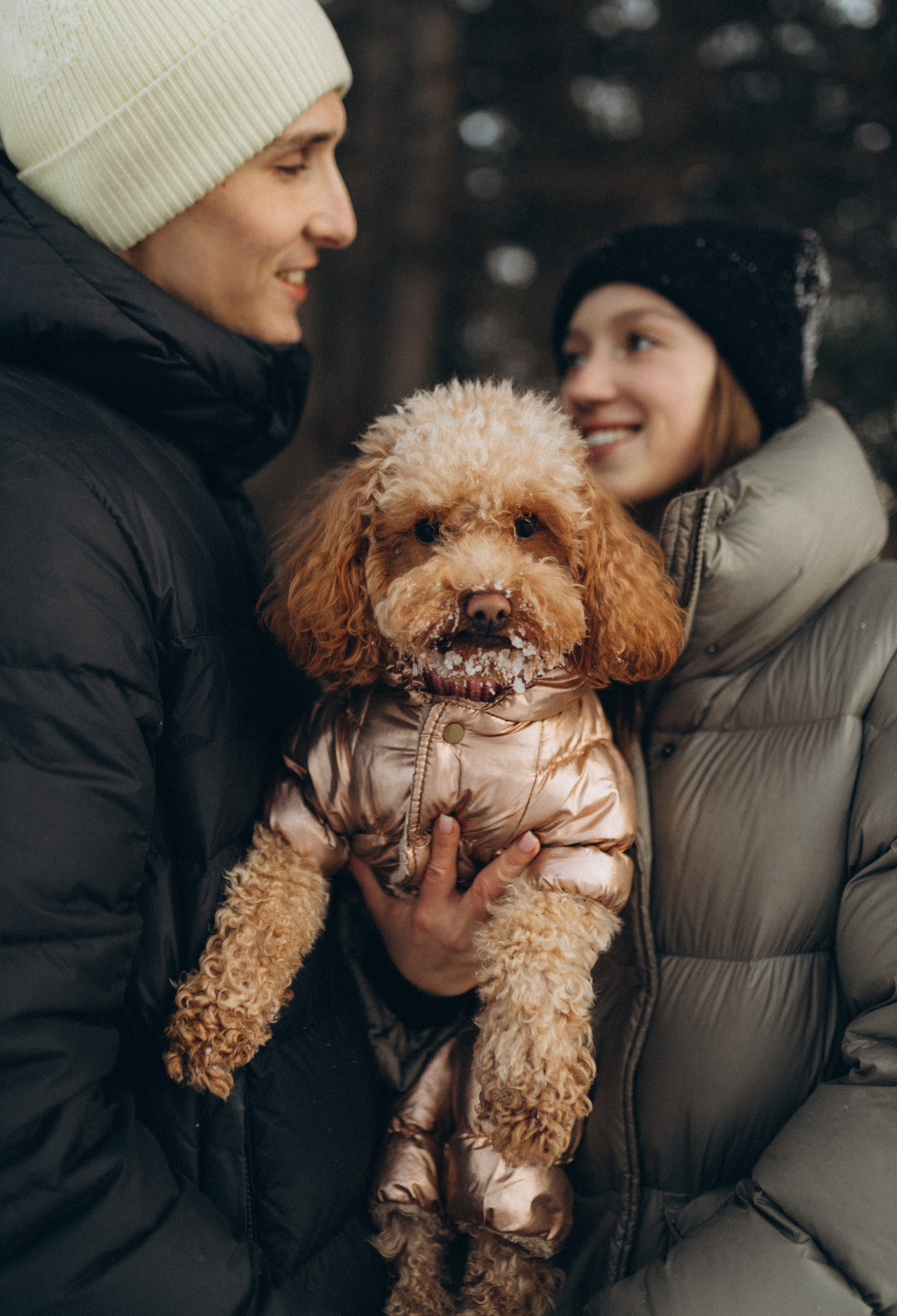 Winter magic. Chernenko.photography