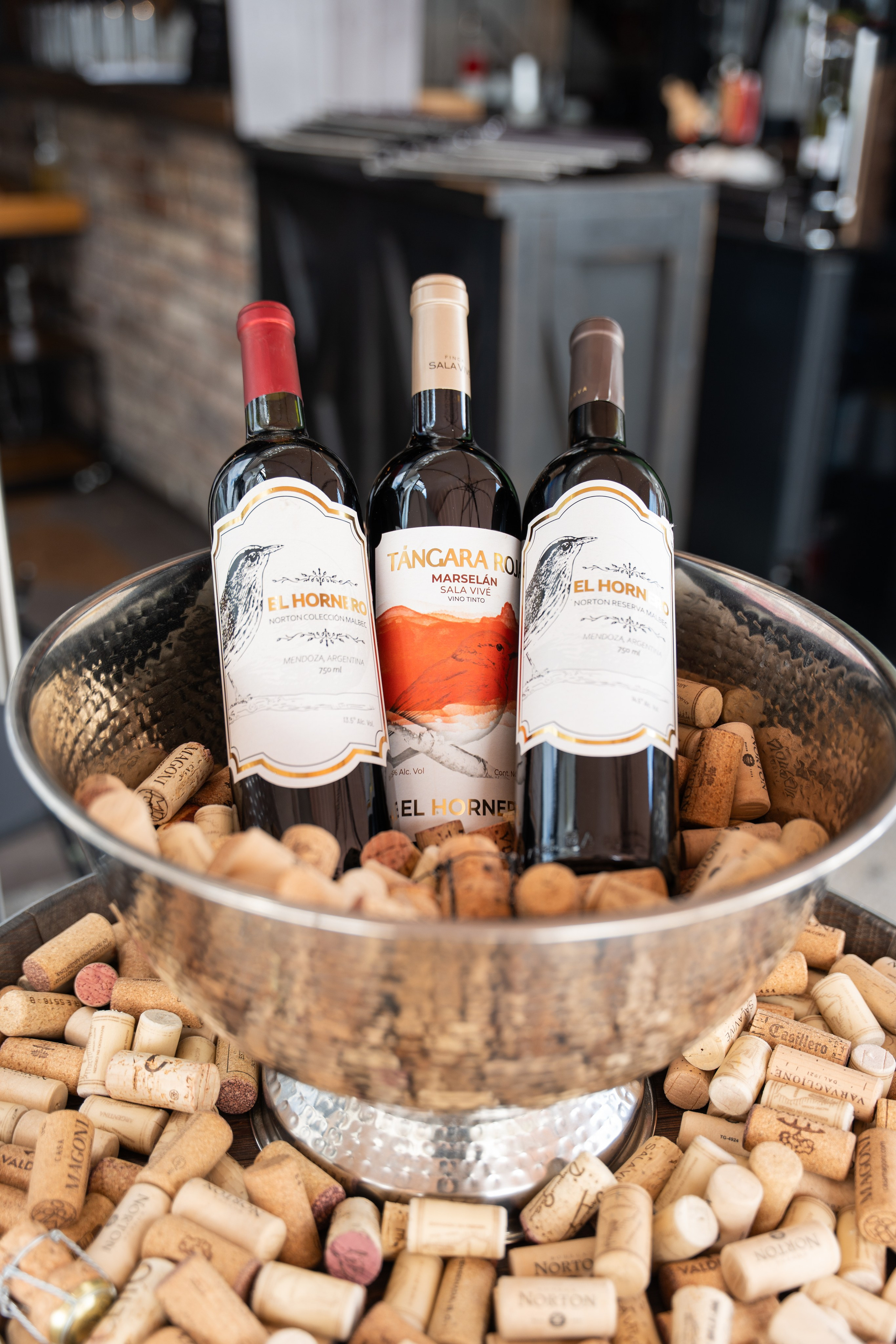 El Hornero. Miguelsalasfoto